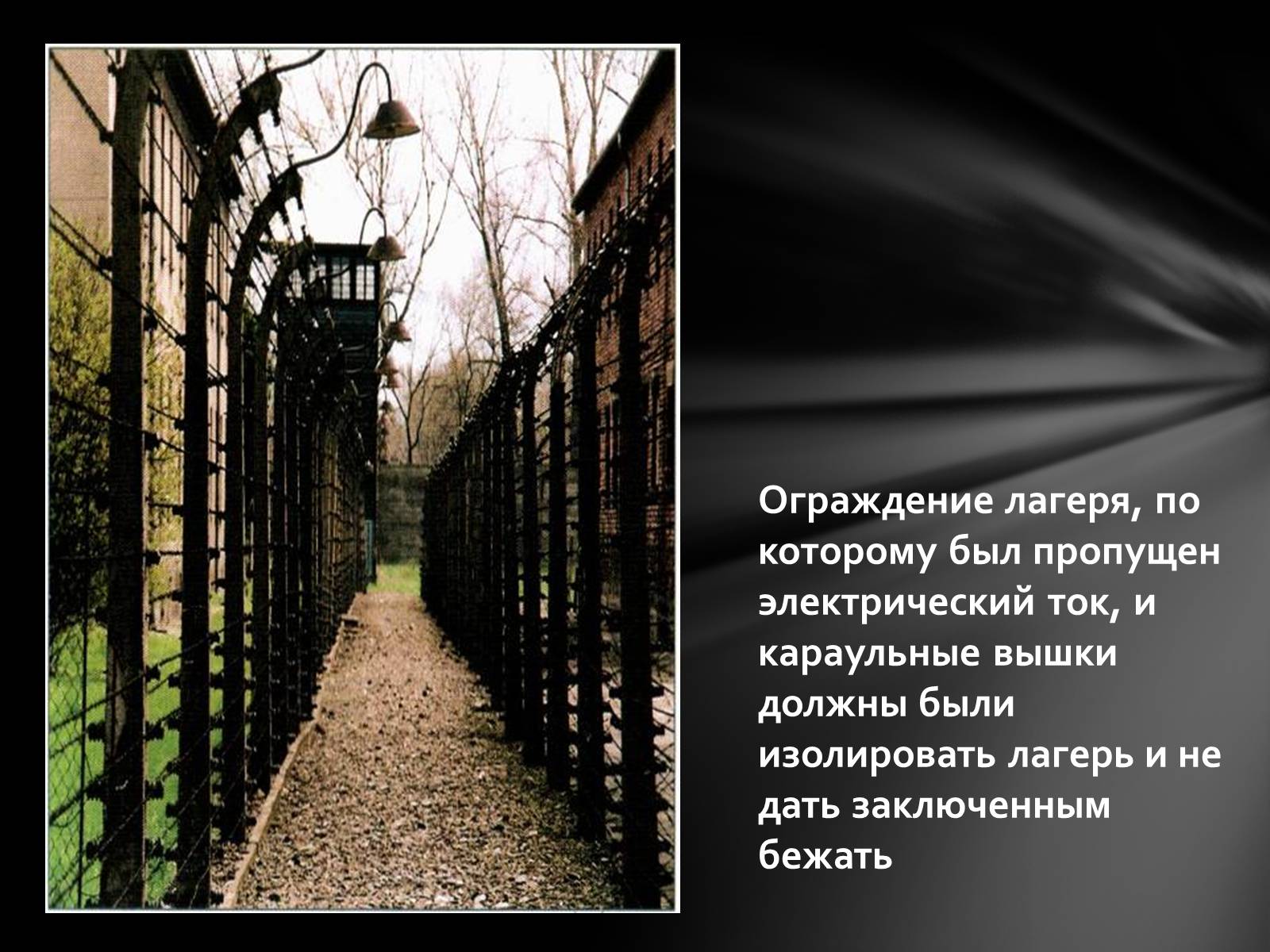 Презентація на тему «Память о Холокосте» - Слайд #11