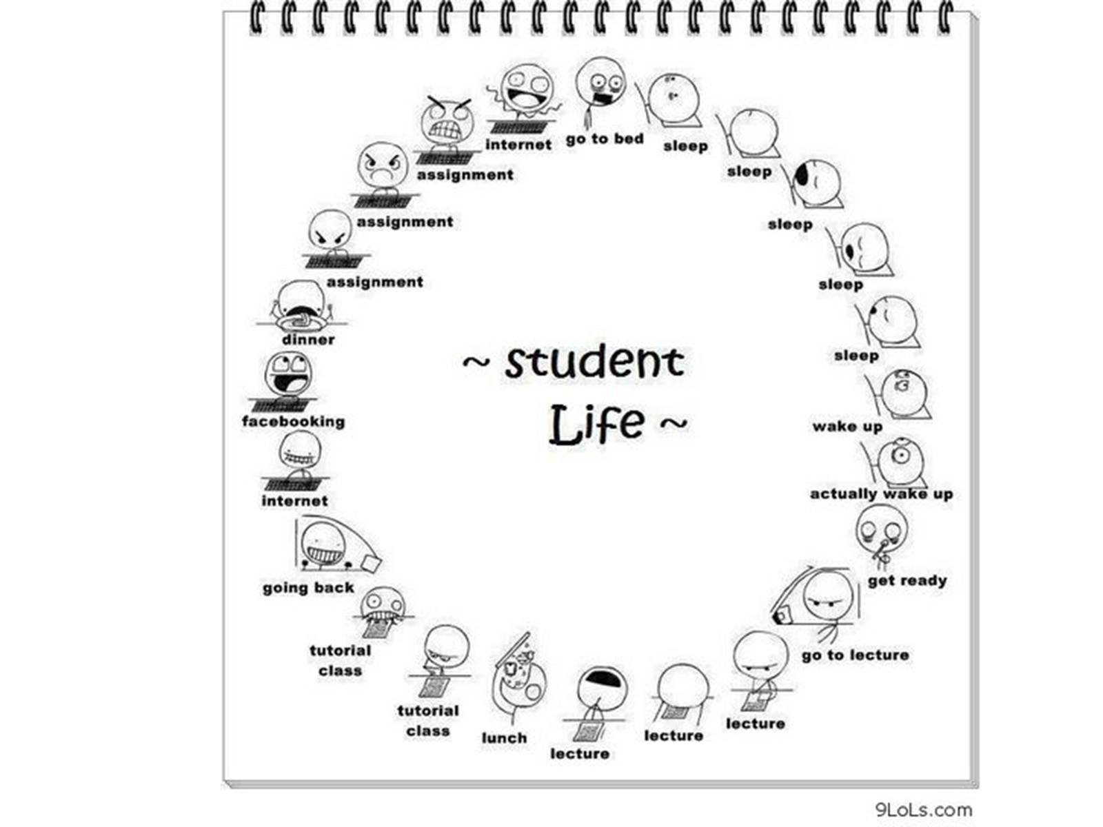 Презентація на тему «Student&#8217;s Life» - Слайд #15