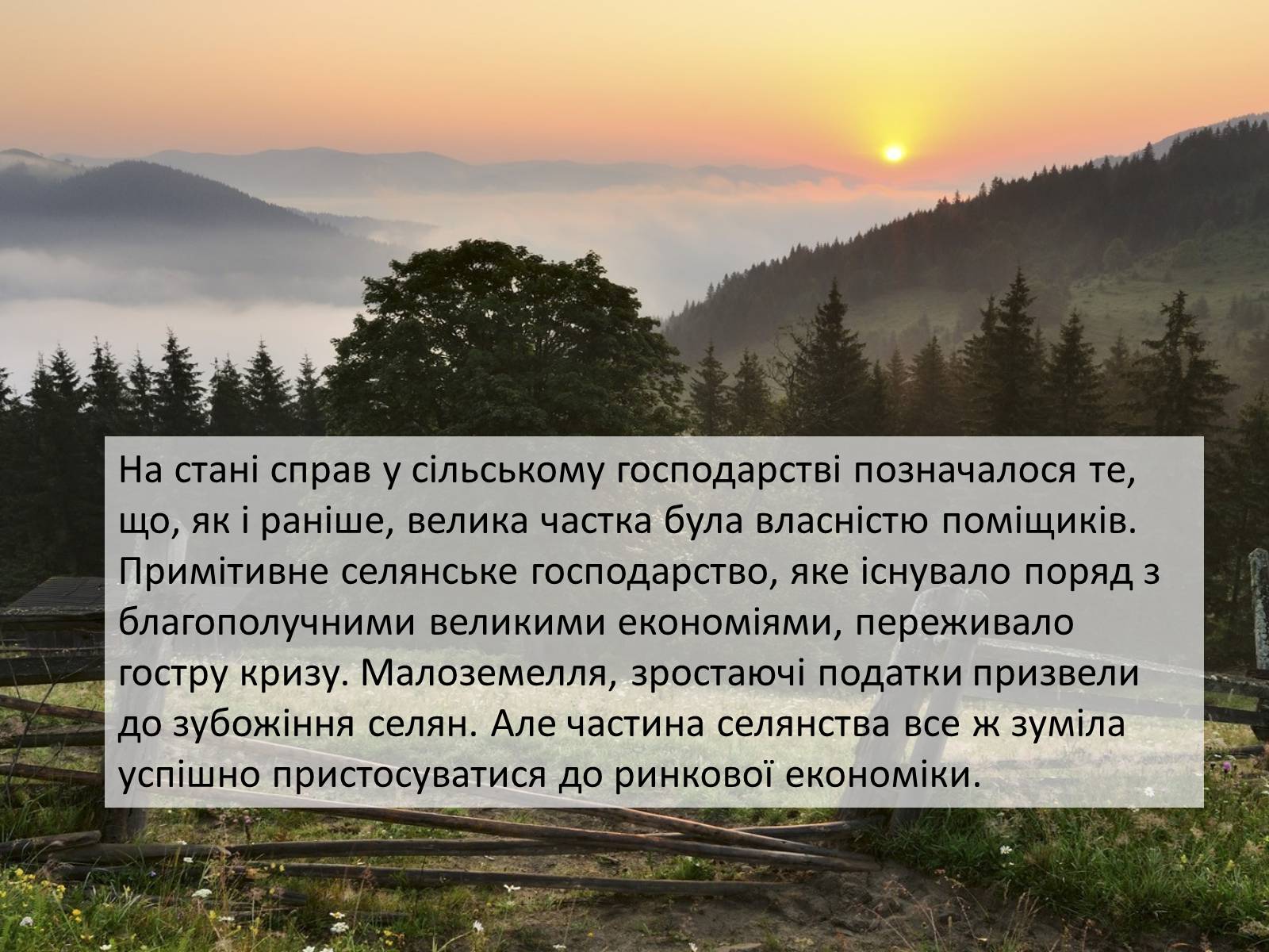 Презентація на тему «Еміграція українських селян 19-20ст» - Слайд #4