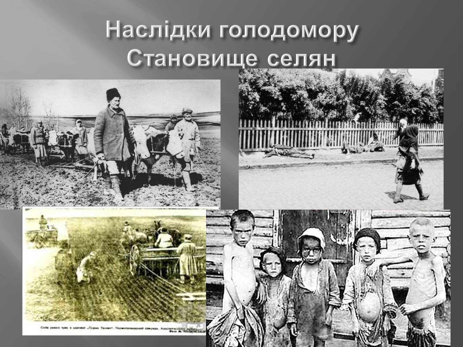 Презентація на тему «Голодомор 1946-1947 років» (варіант 4) - Слайд #5