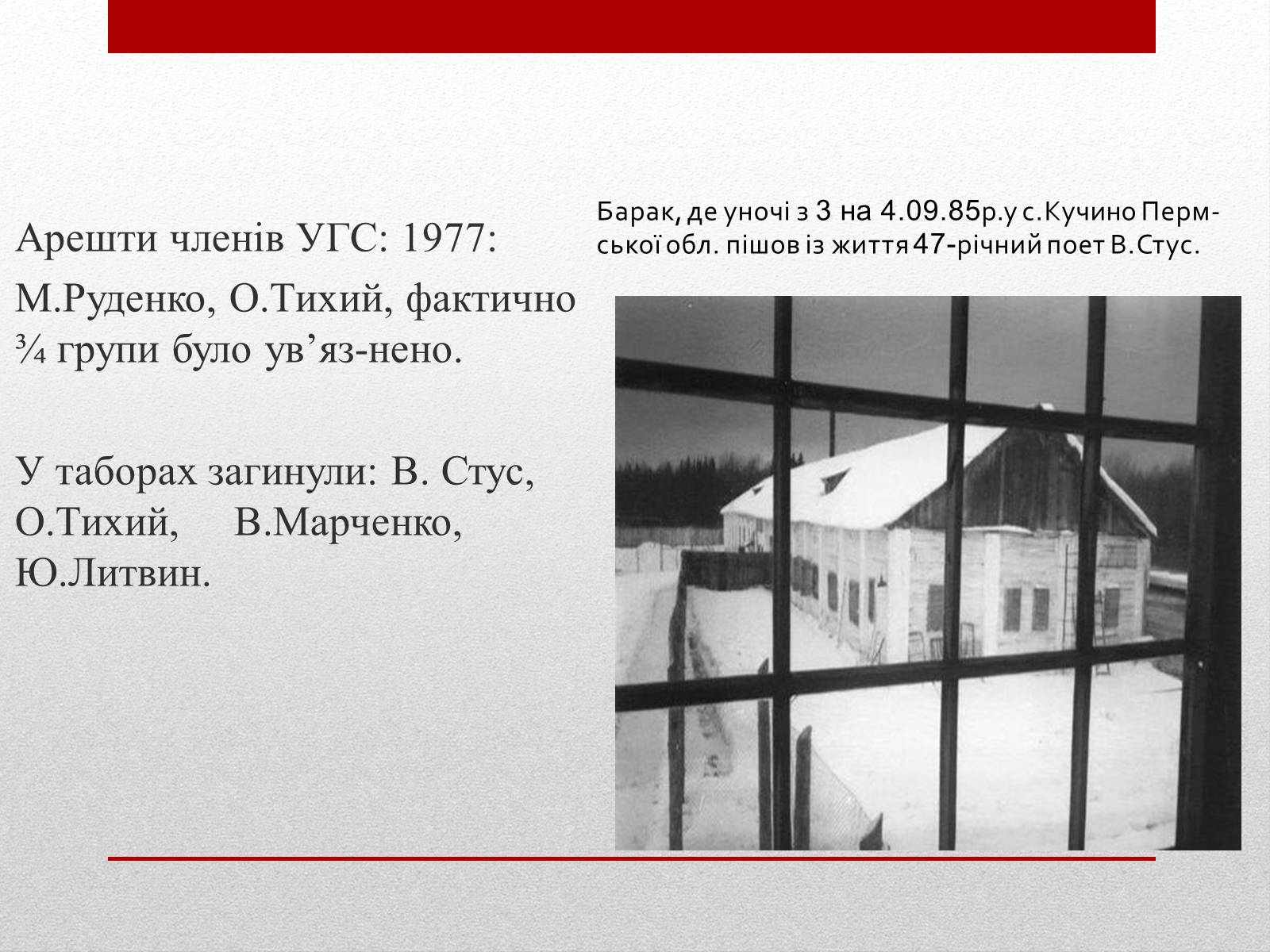 Презентація на тему «Опозиційний рух в Україні» (варіант 1) - Слайд #13