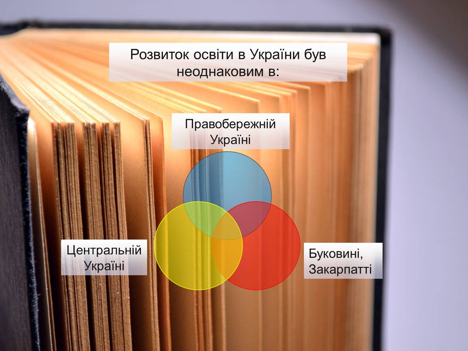 Презентація на тему «Освіта в Україні у XVI ст» - Слайд #3