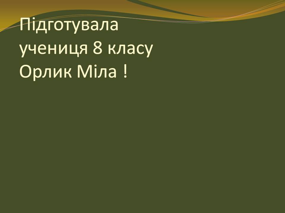 Презентація на тему «Запорізька Січ» (варіант 4) - Слайд #20