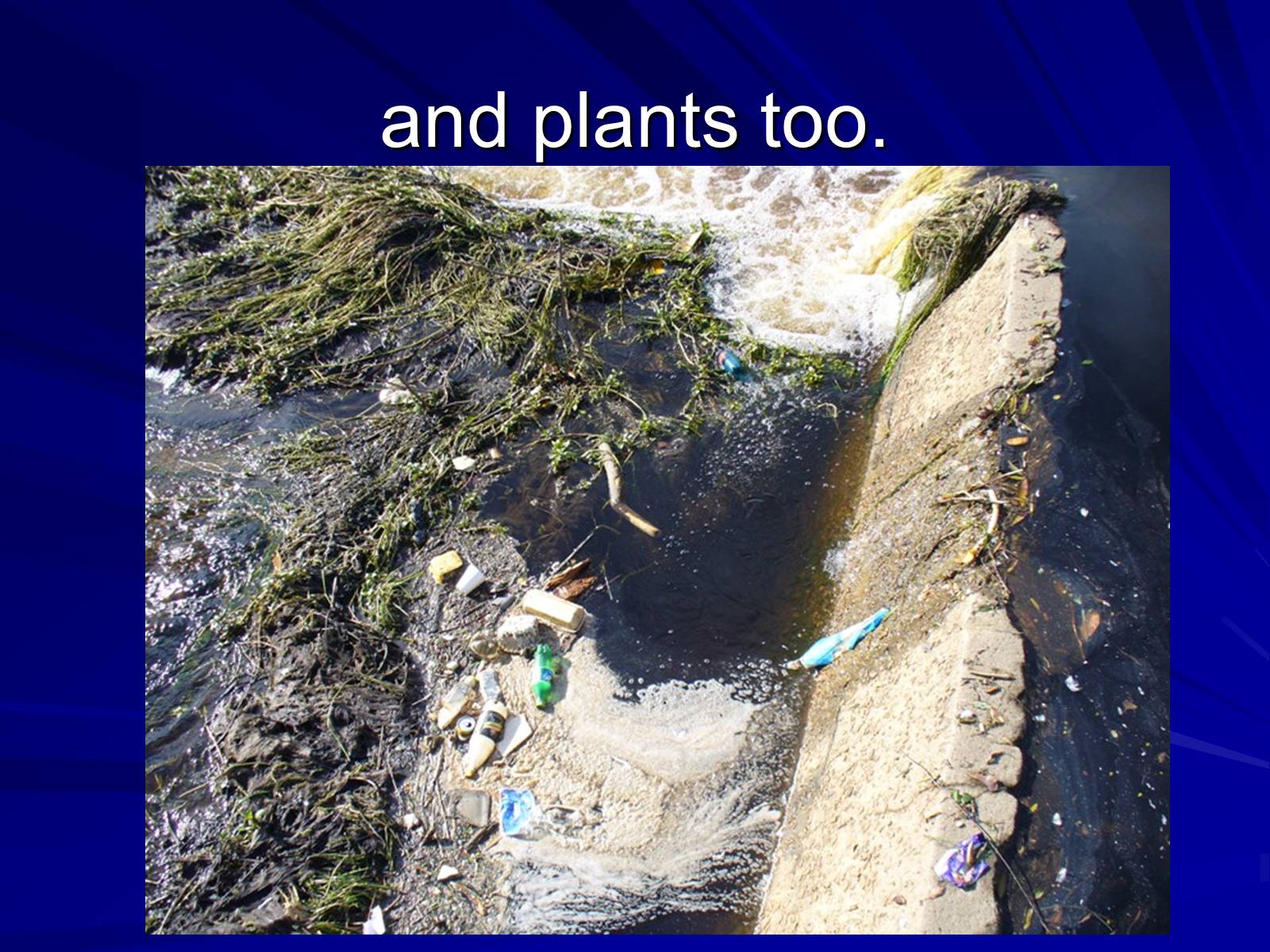 Презентація на тему «Water pollution» (варіант 1) - Слайд #11