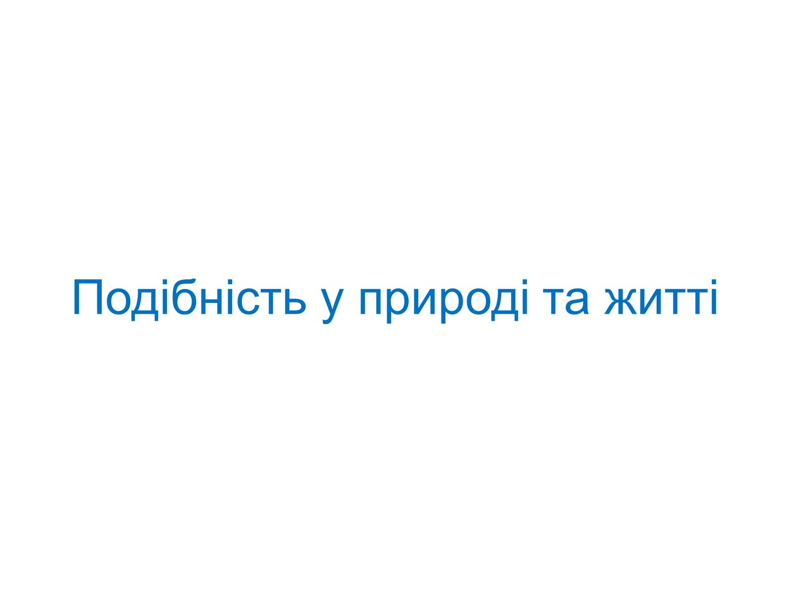 Презентація на тему «Подібність Трикутників у нашому житті» - Слайд #11