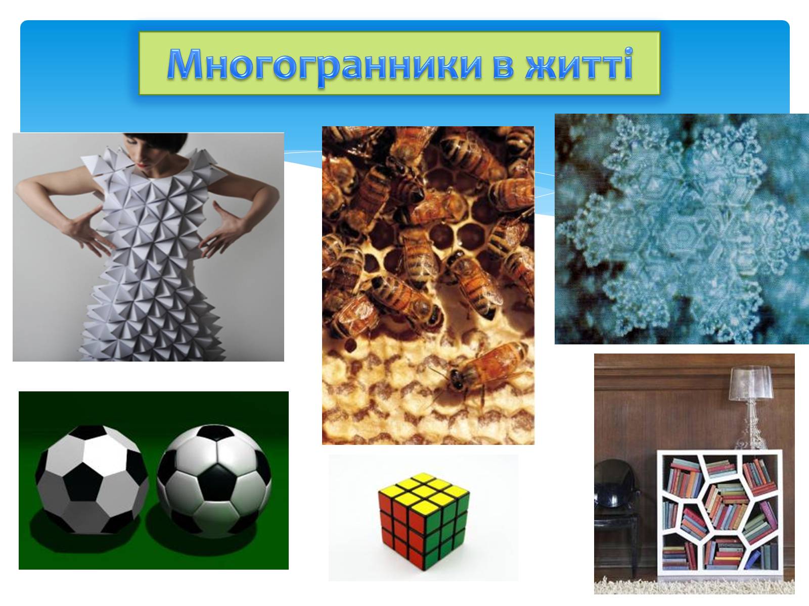 Многоугольники в природе. Выпуклый многогранник в жизни. Многогранники в повседневной жизни. Многогранники в реальной жизни. Правильные многогранники в быту.