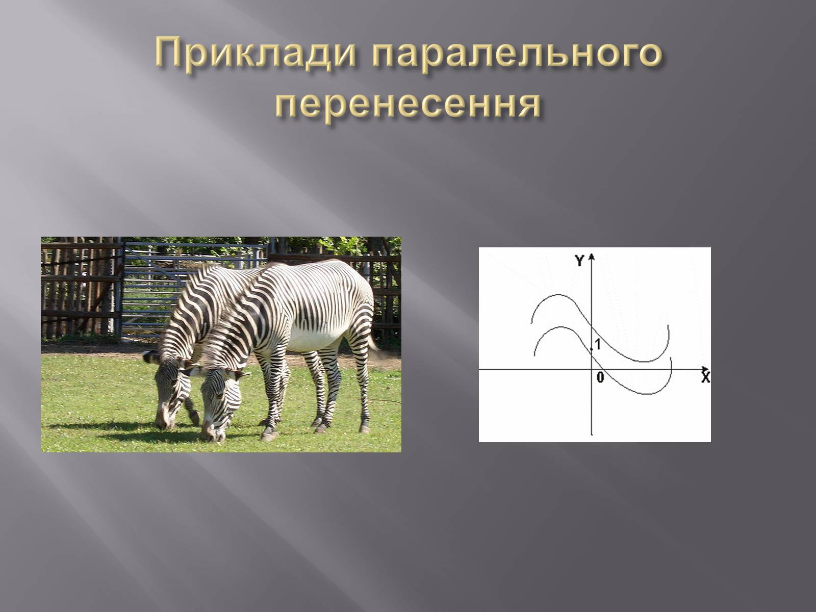 Презентація на тему «Геометричні перетворення» (варіант 1) - Слайд #11