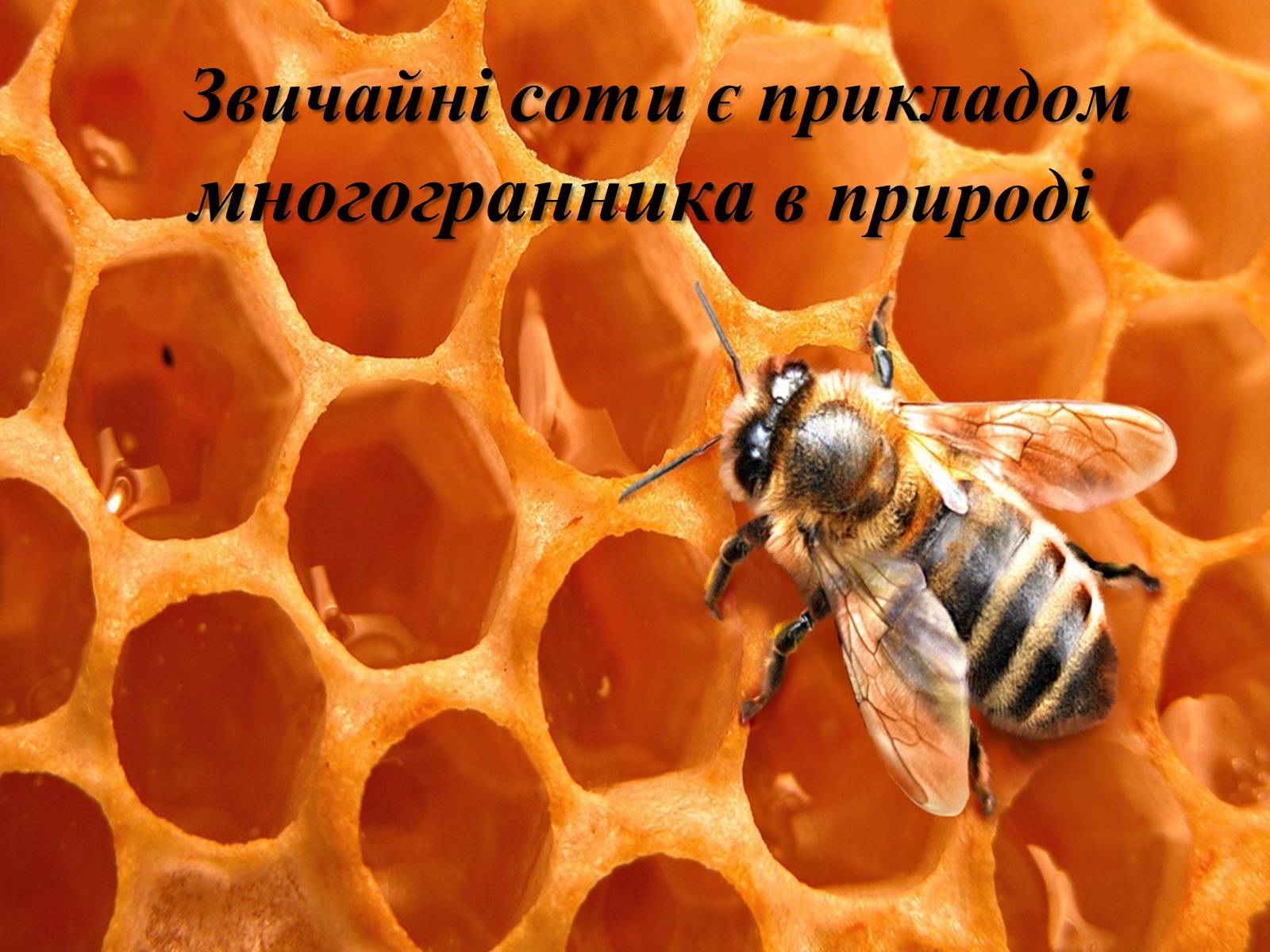 Презентація на тему «Многогранники в природі» - Слайд #6