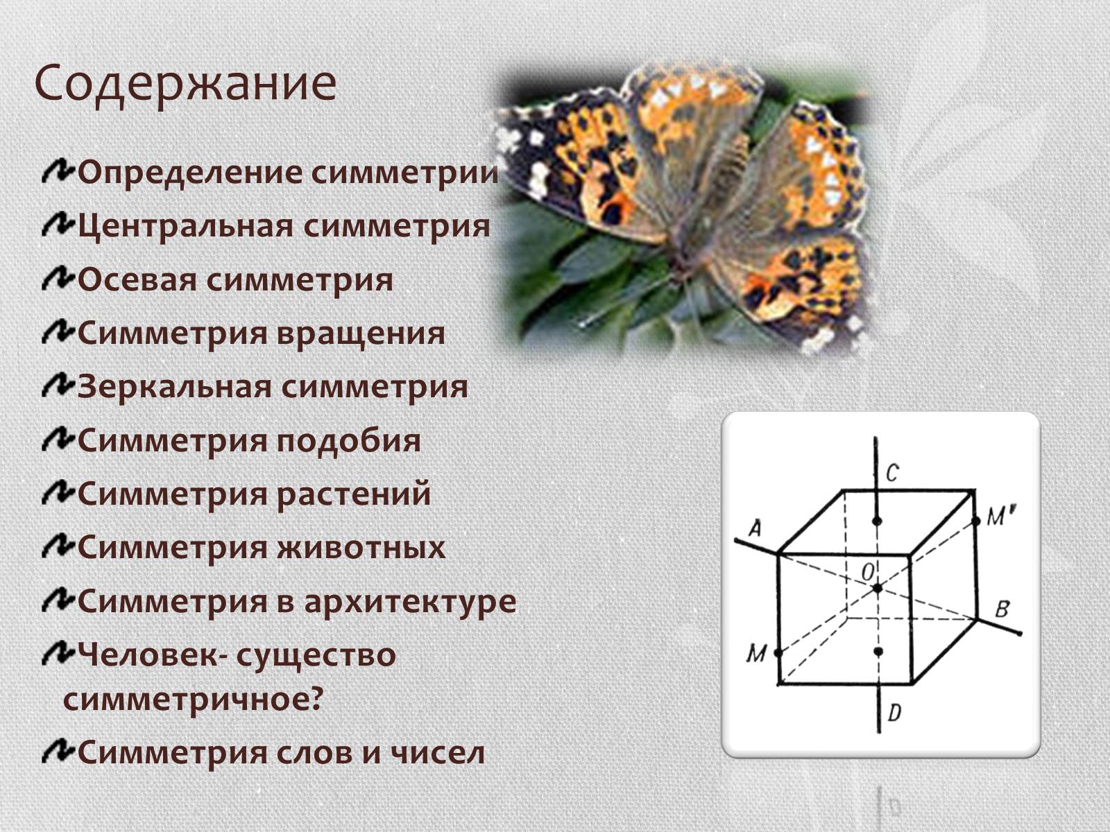 Презентація на тему «Симметрия в нашей жизни» - Слайд #2