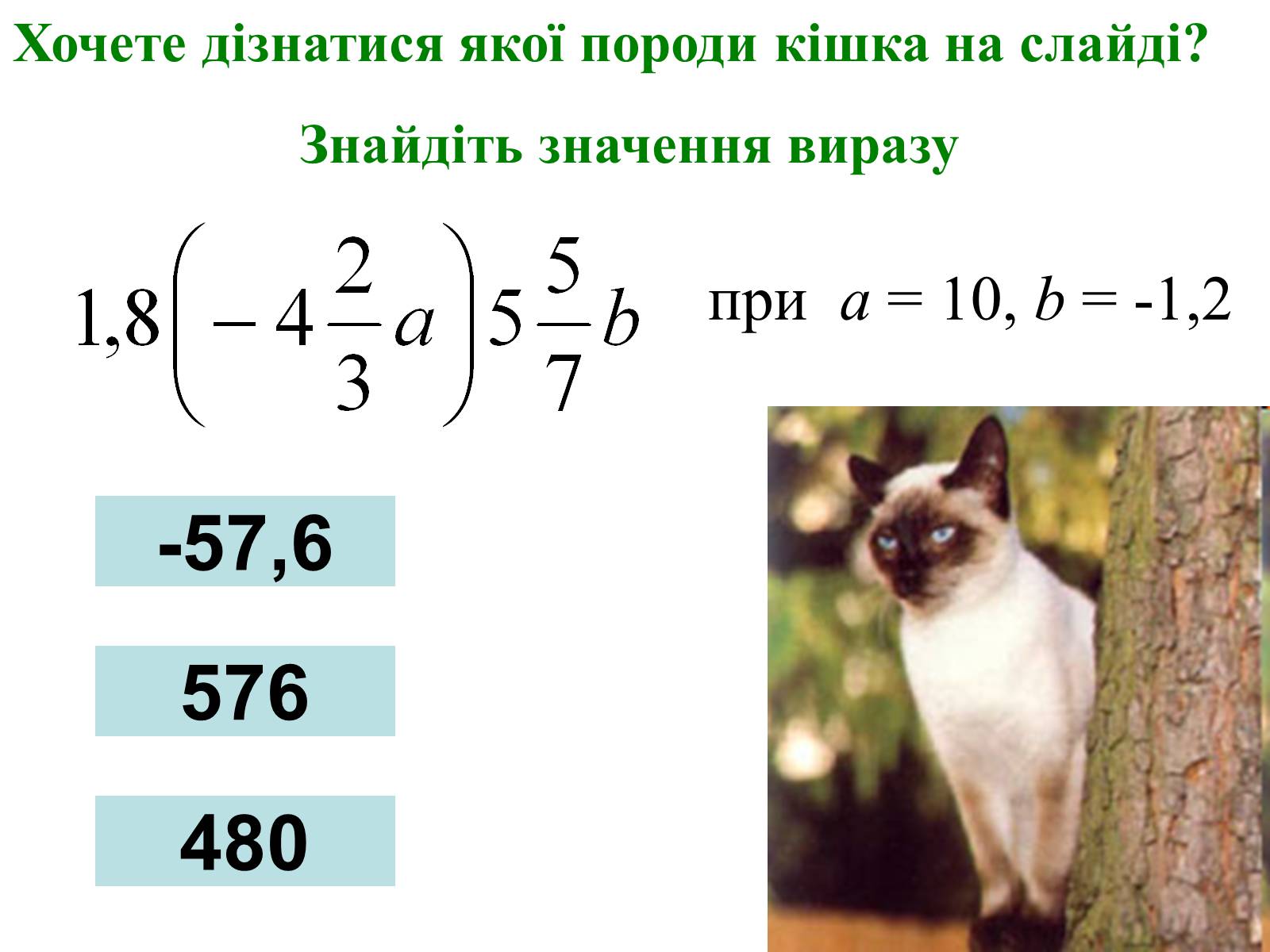 Презентація на тему «Множення раціональних чисел» - Слайд #29