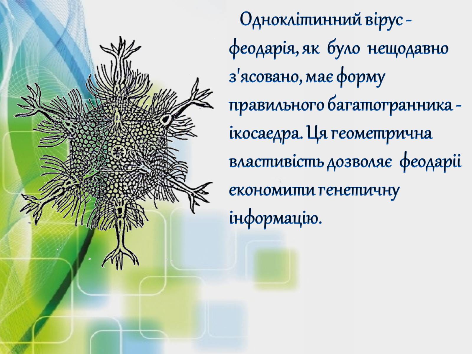 Презентація на тему «Застосування многранників у житті» - Слайд #10