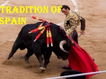 Презентація на тему «Tradition of Spain»