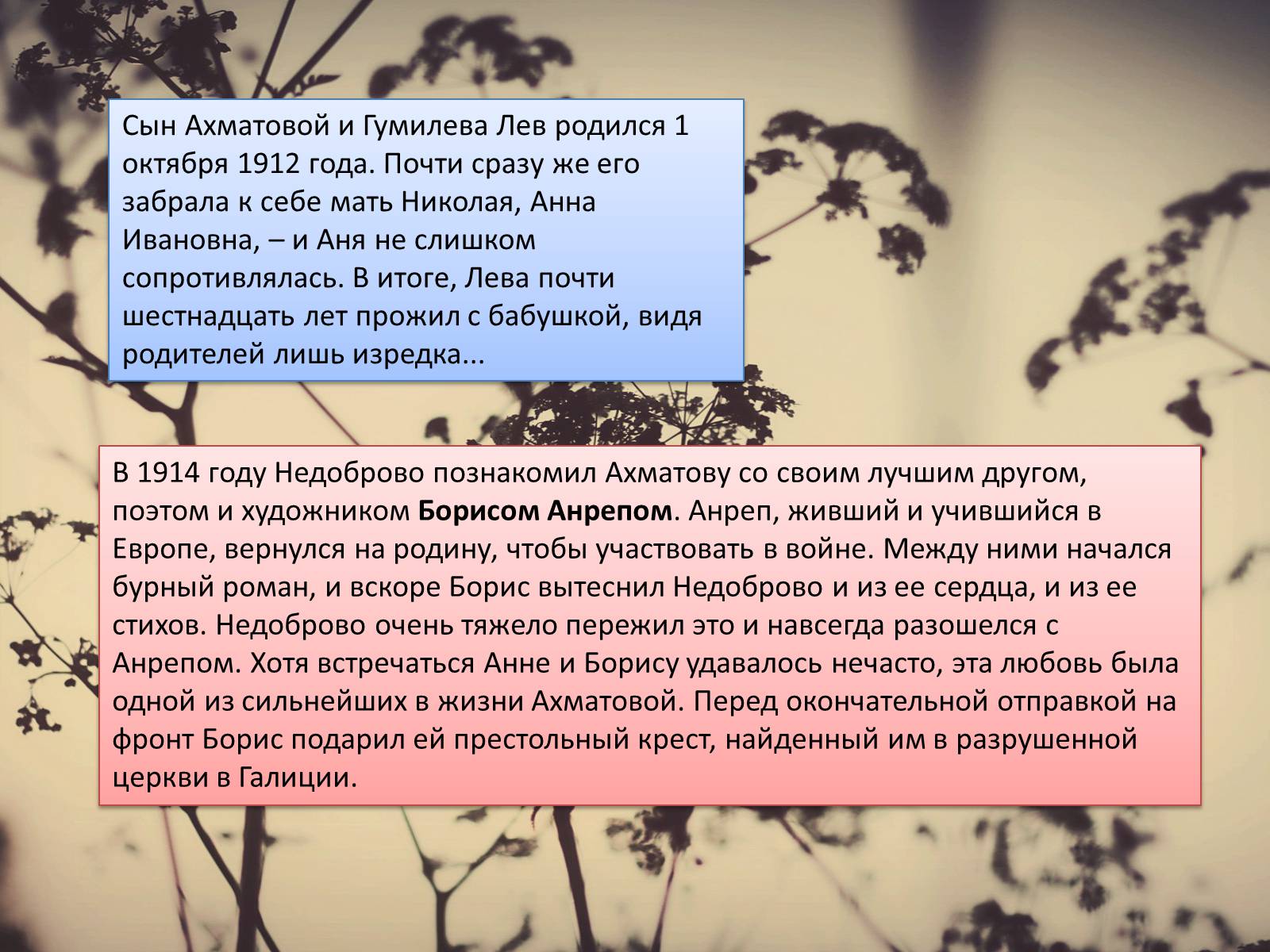 Презентація на тему «Женщины в русской поезии «Серебрянного» века» - Слайд #9