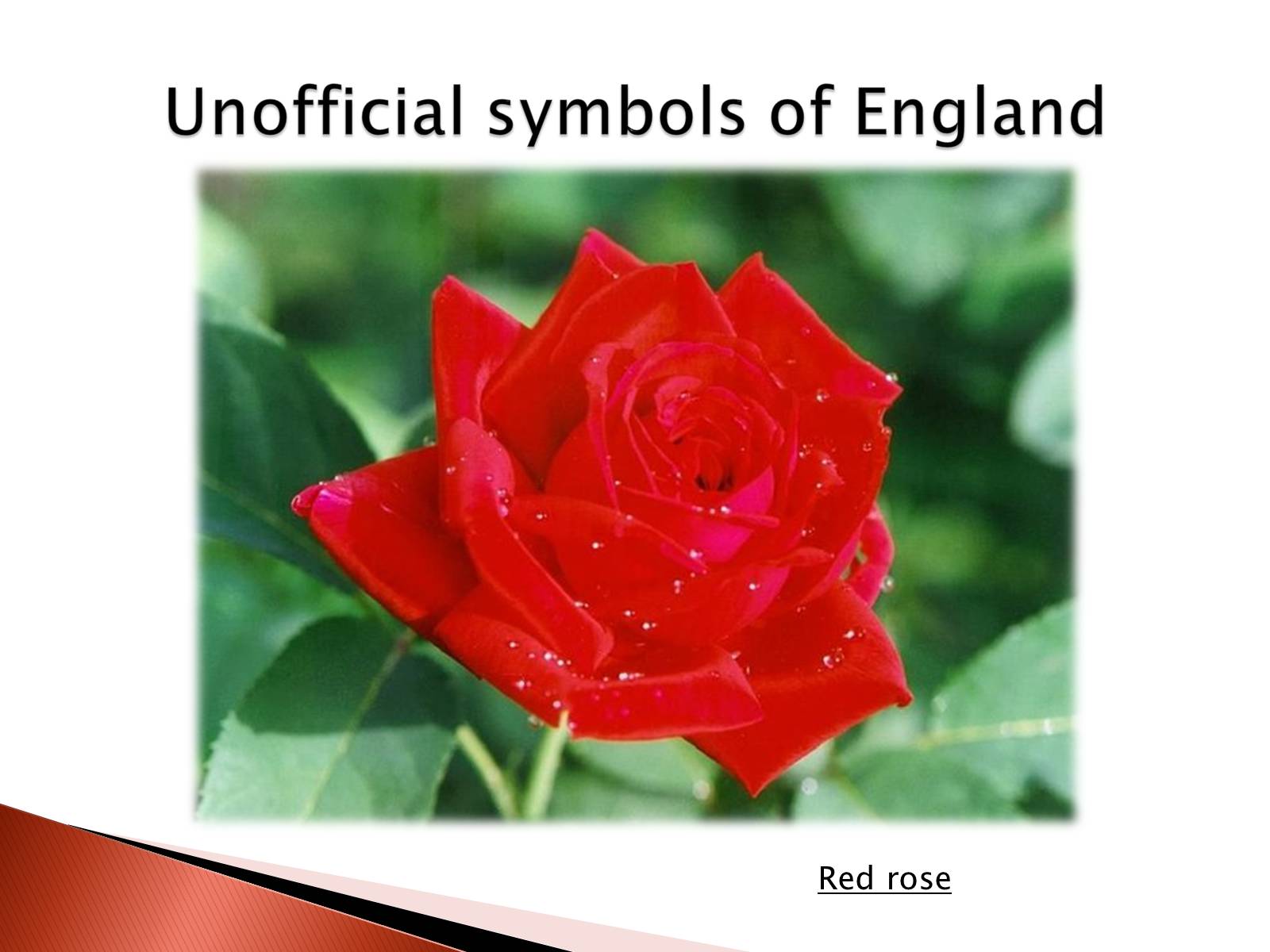 Презентація на тему «England» (варіант 1) - Слайд #11