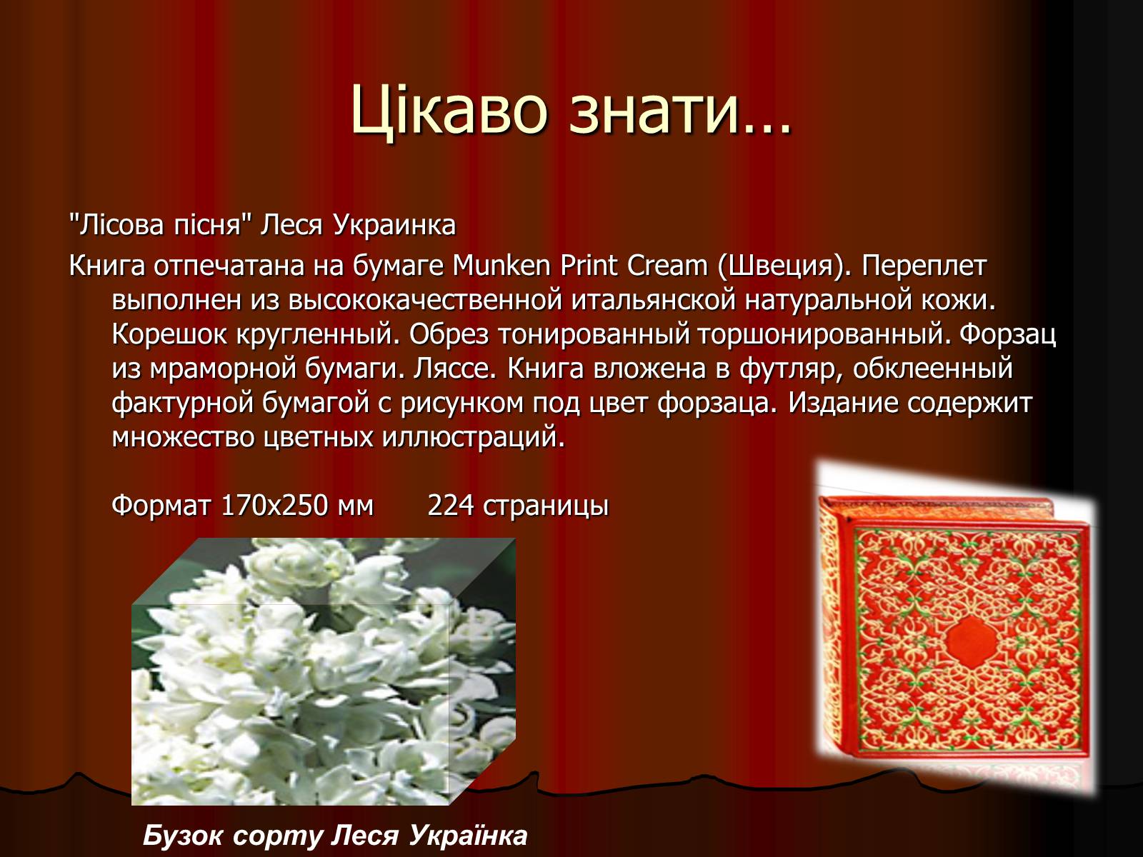 Презентація на тему «Леся Українка» (варіант 11) - Слайд #22