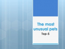 Презентація на тему «The most unusual pets»