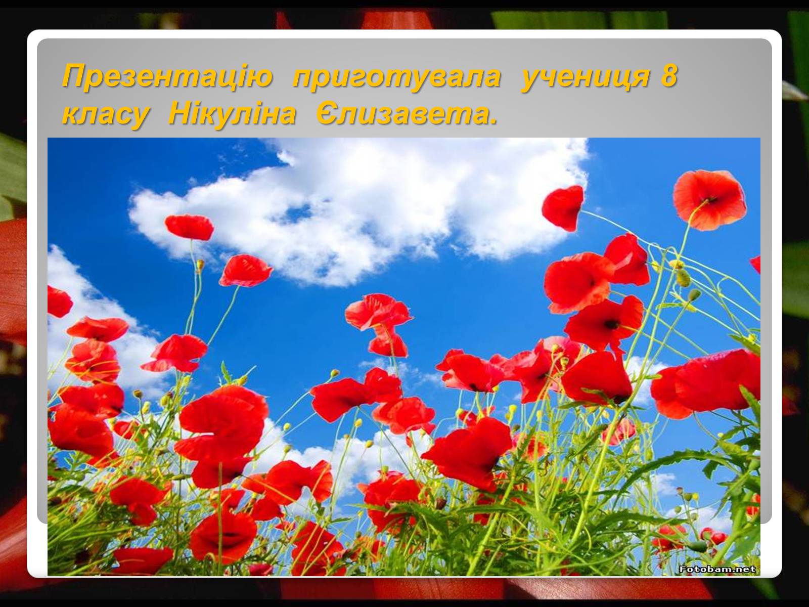 Презентація на тему «Українські історичні пісні» - Слайд #20