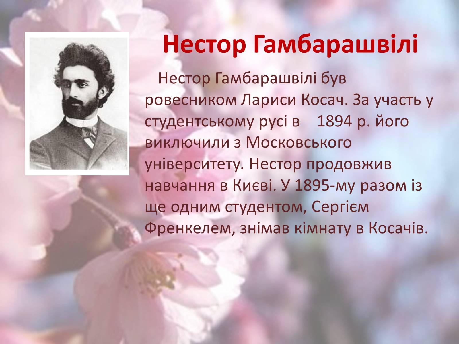 Презентація на тему «Леся Українка» (варіант 6) - Слайд #46