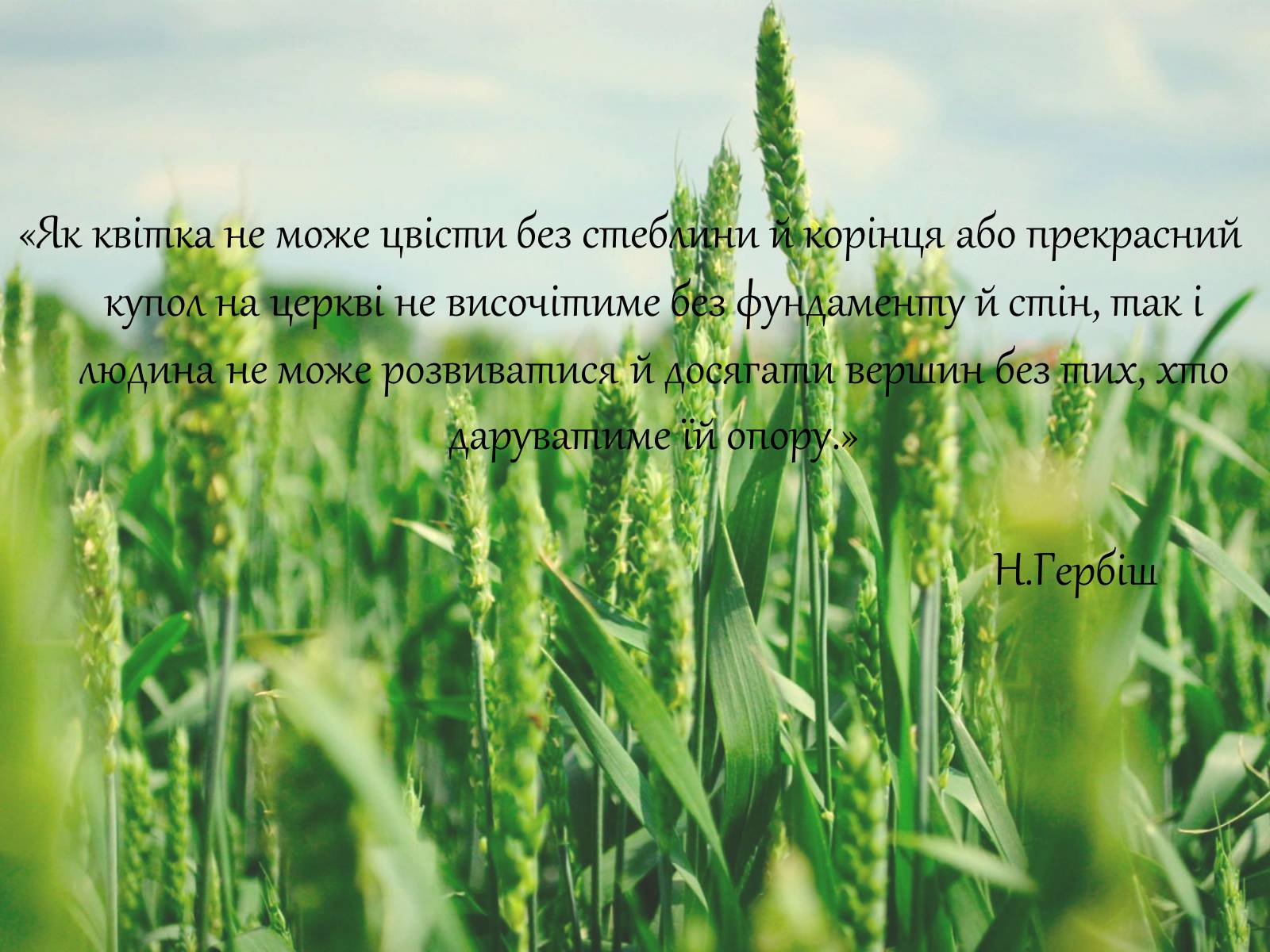 Презентація на тему «Сучасні українські письменники. Сучасна українська література» - Слайд #11