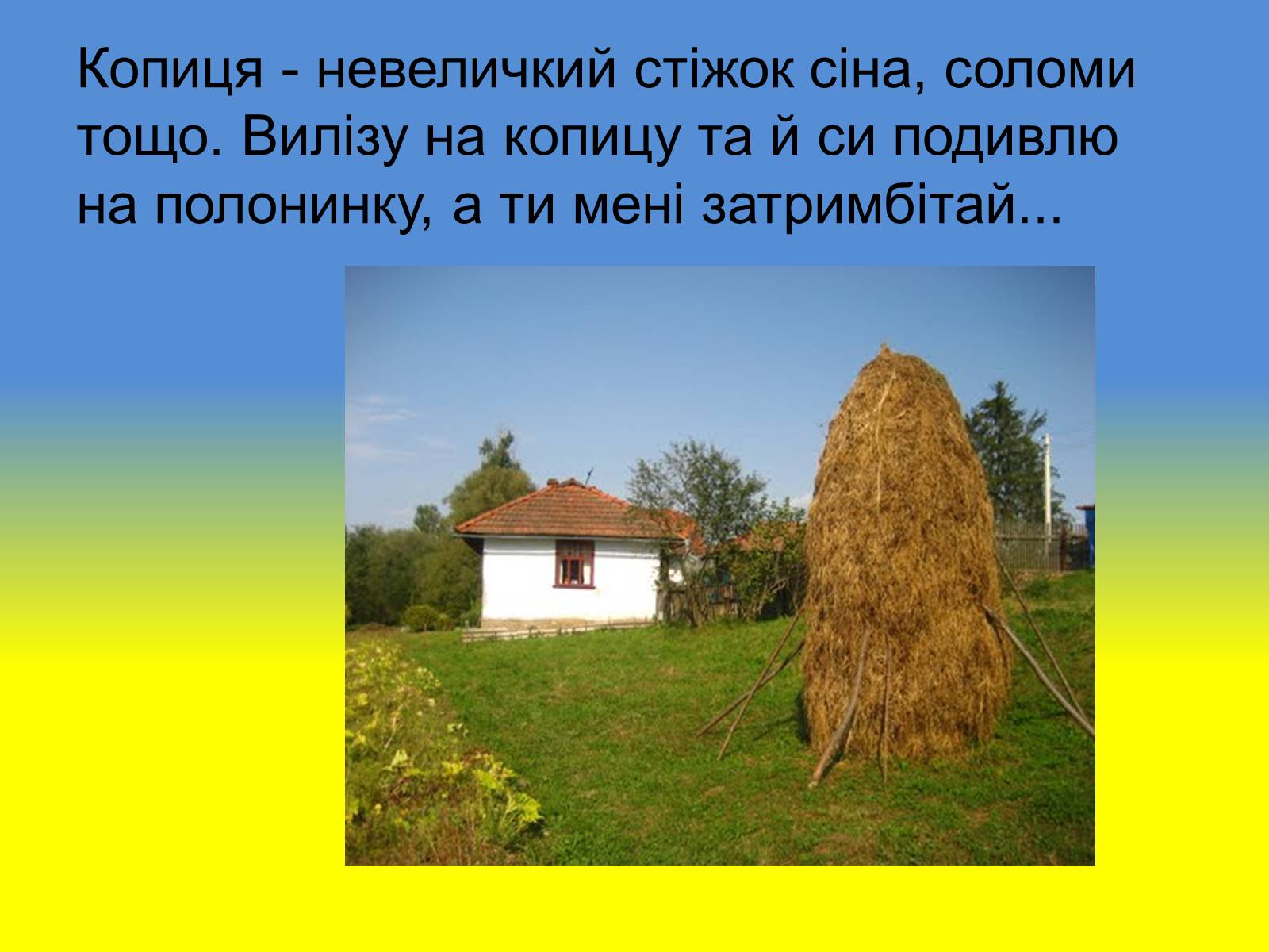 Презентація на тему «Діалектизми у творі “Тіні забутих предків”» - Слайд #20