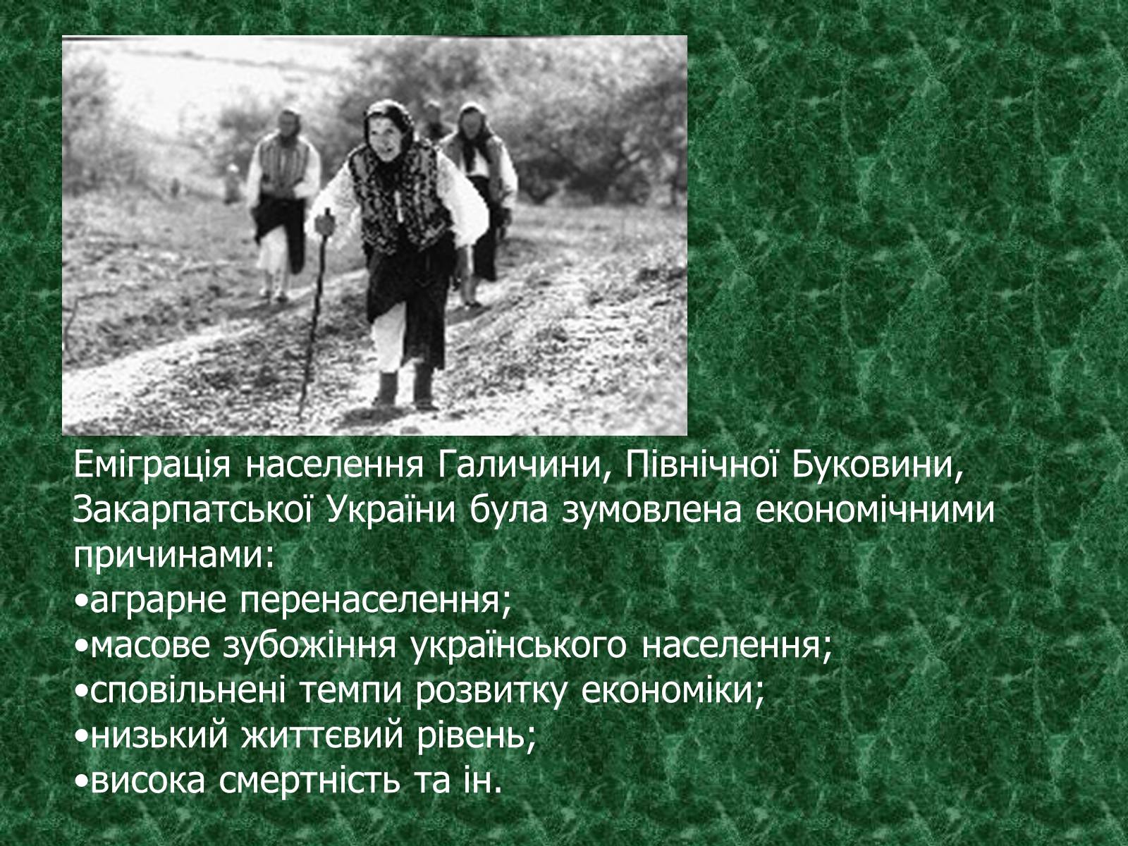 Презентація на тему «Камінний хрест як символ трагічної долі селянина-бідняка» - Слайд #13