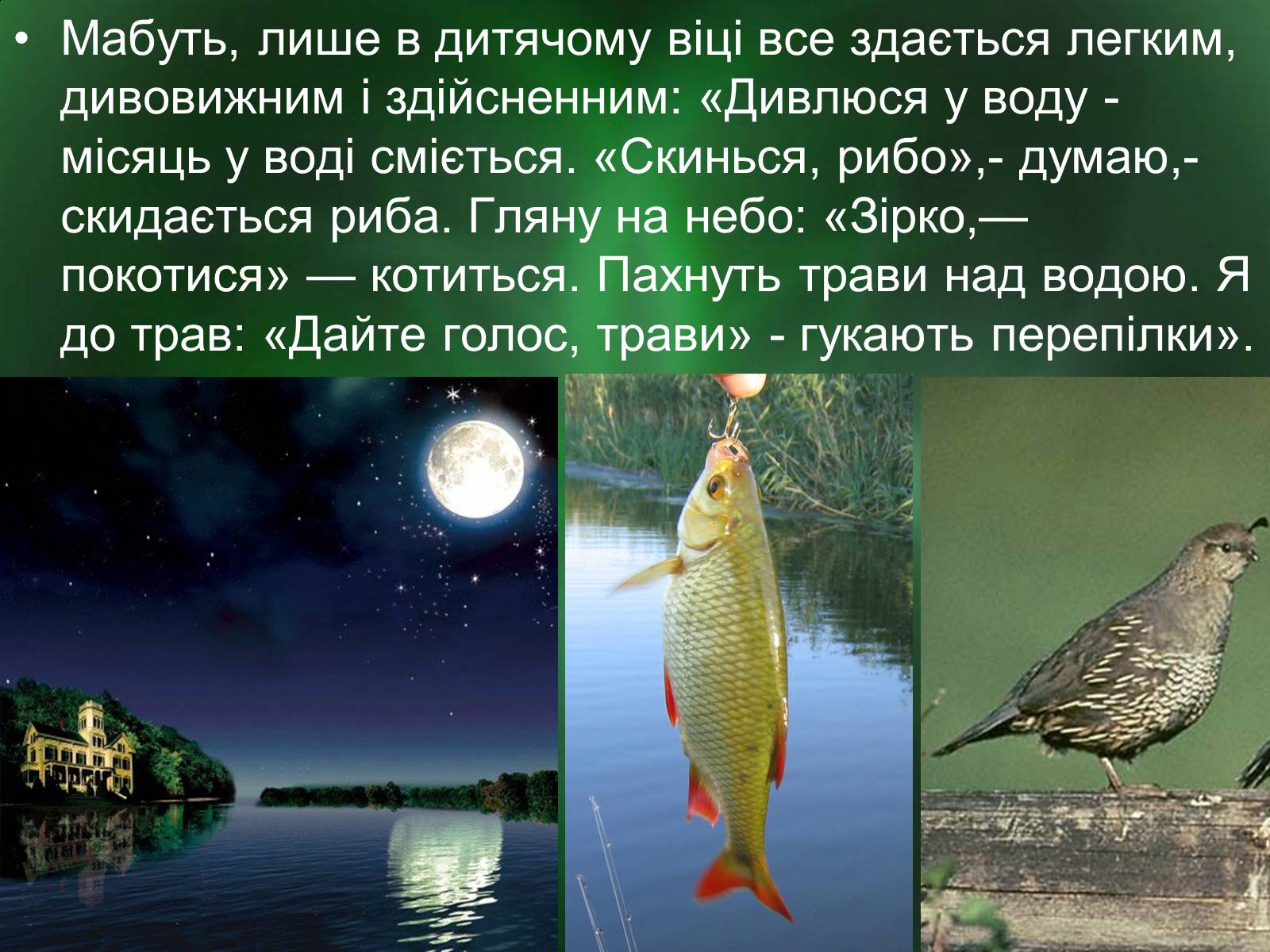 Презентація на тему «Роль природи в творі Зачарована десна» - Слайд #12