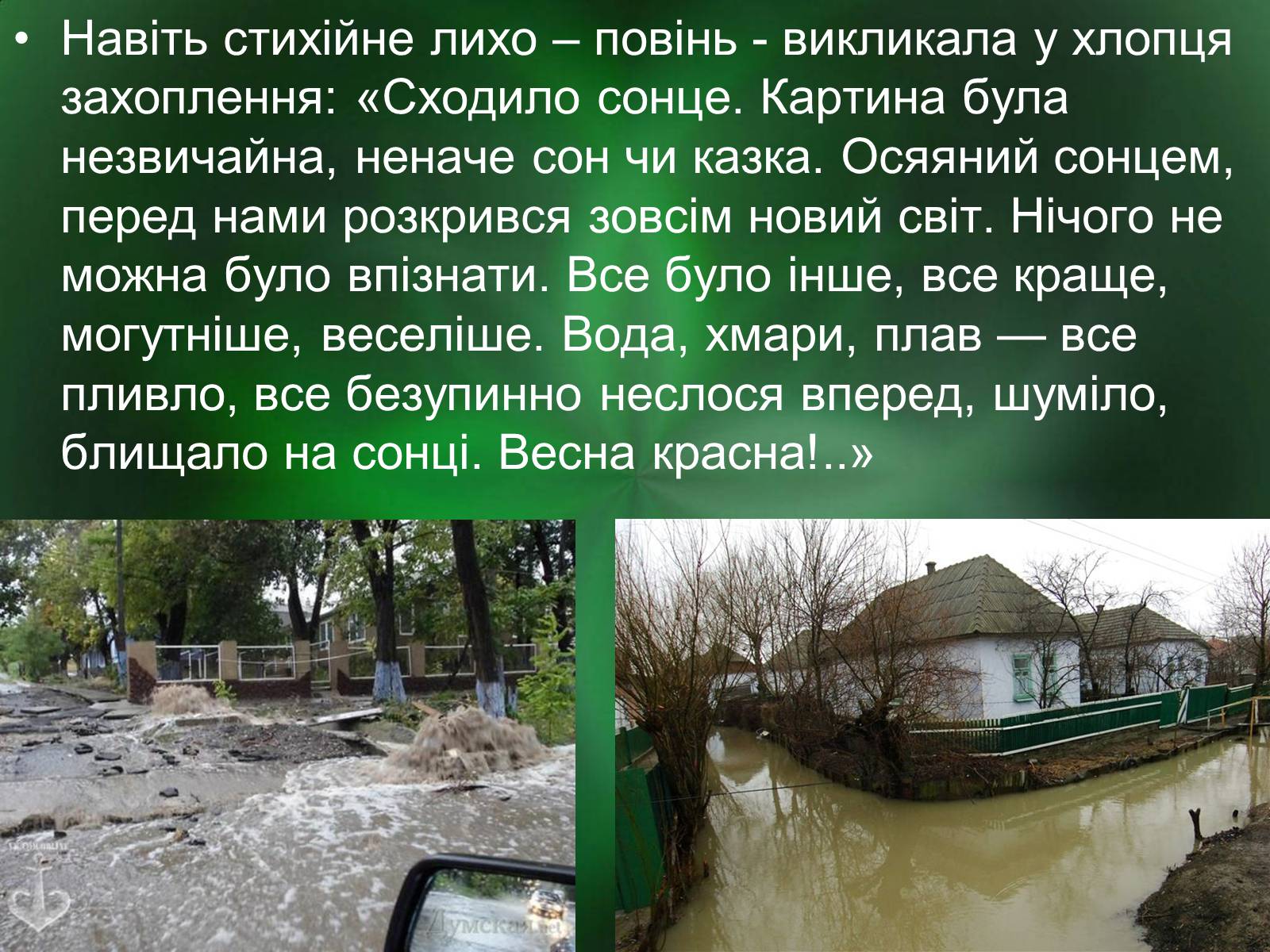 Презентація на тему «Роль природи в творі Зачарована десна» - Слайд #9