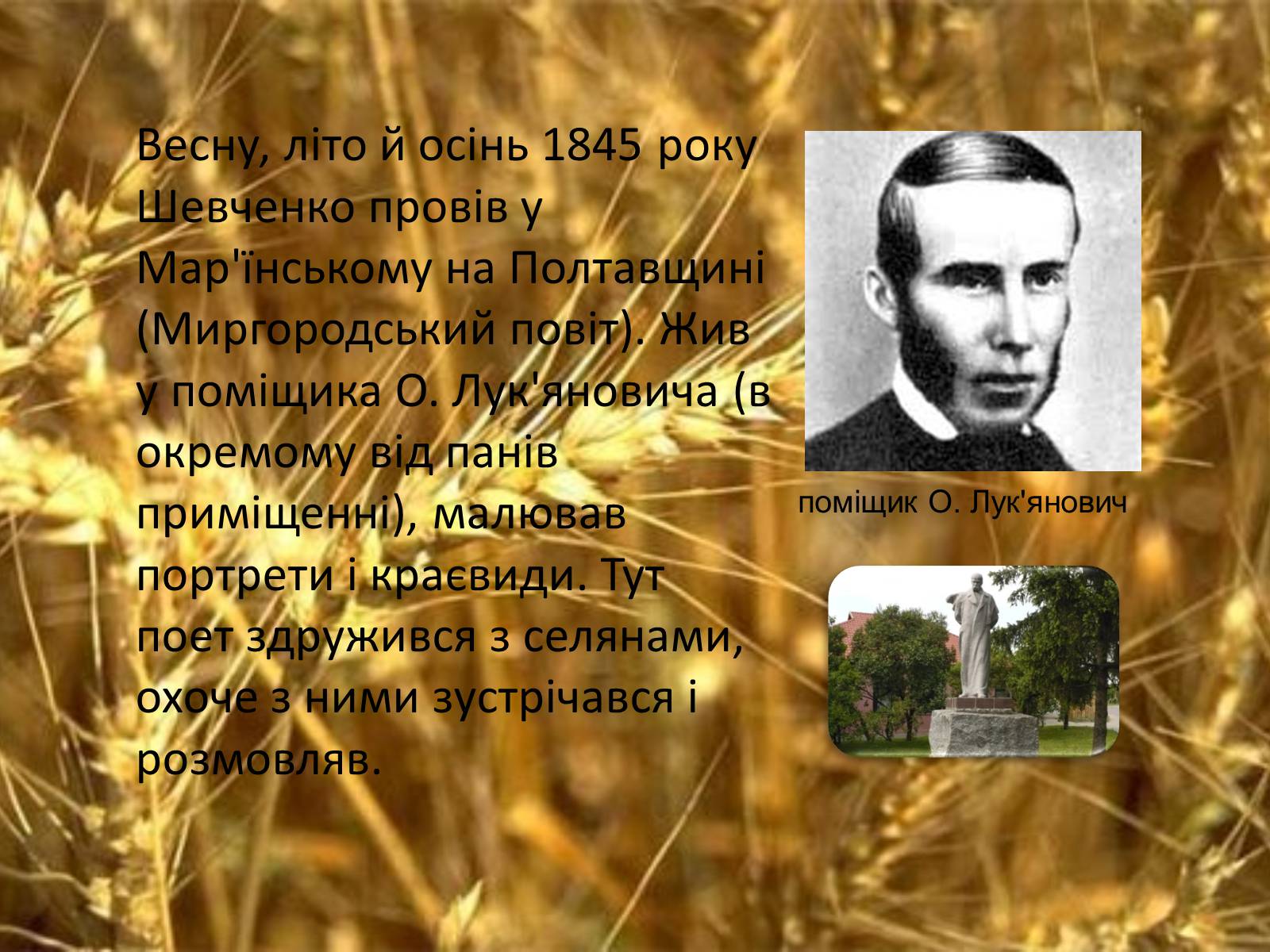 Презентація на тему «Тарас Григорович Шевченко. Період «трьох літ»» - Слайд #11