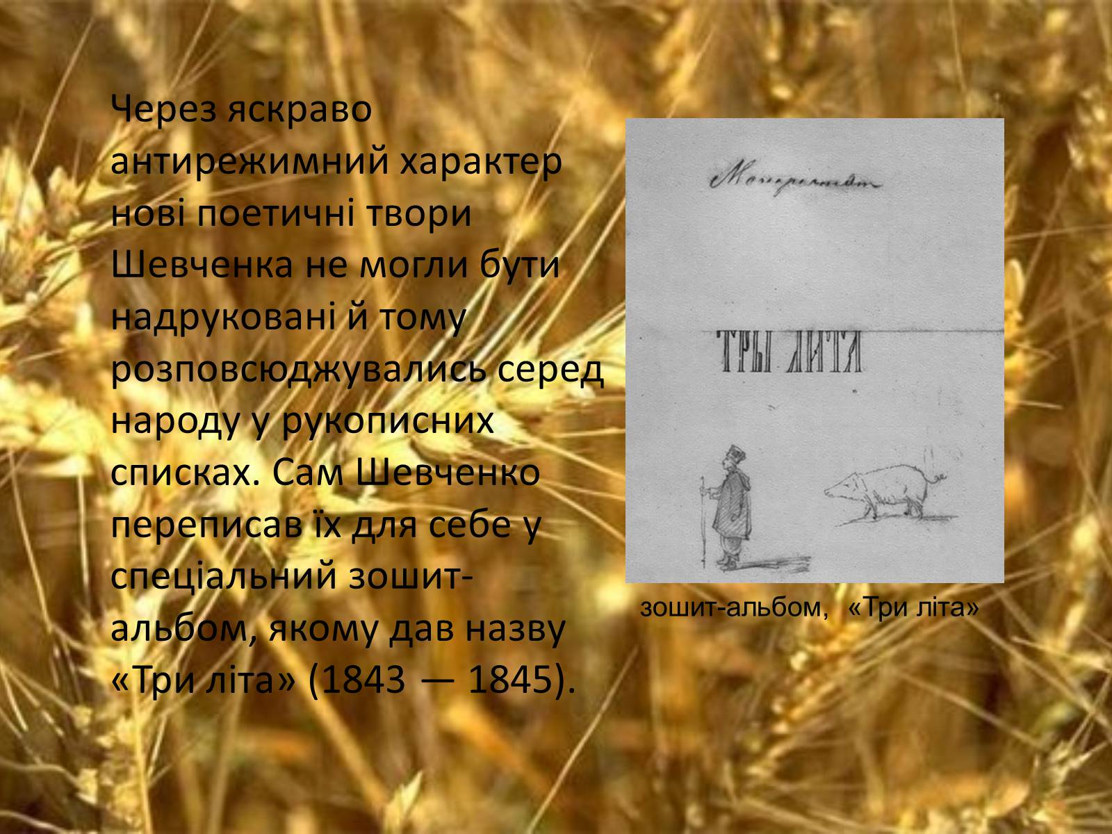 Презентація на тему «Тарас Григорович Шевченко. Період «трьох літ»» - Слайд #14