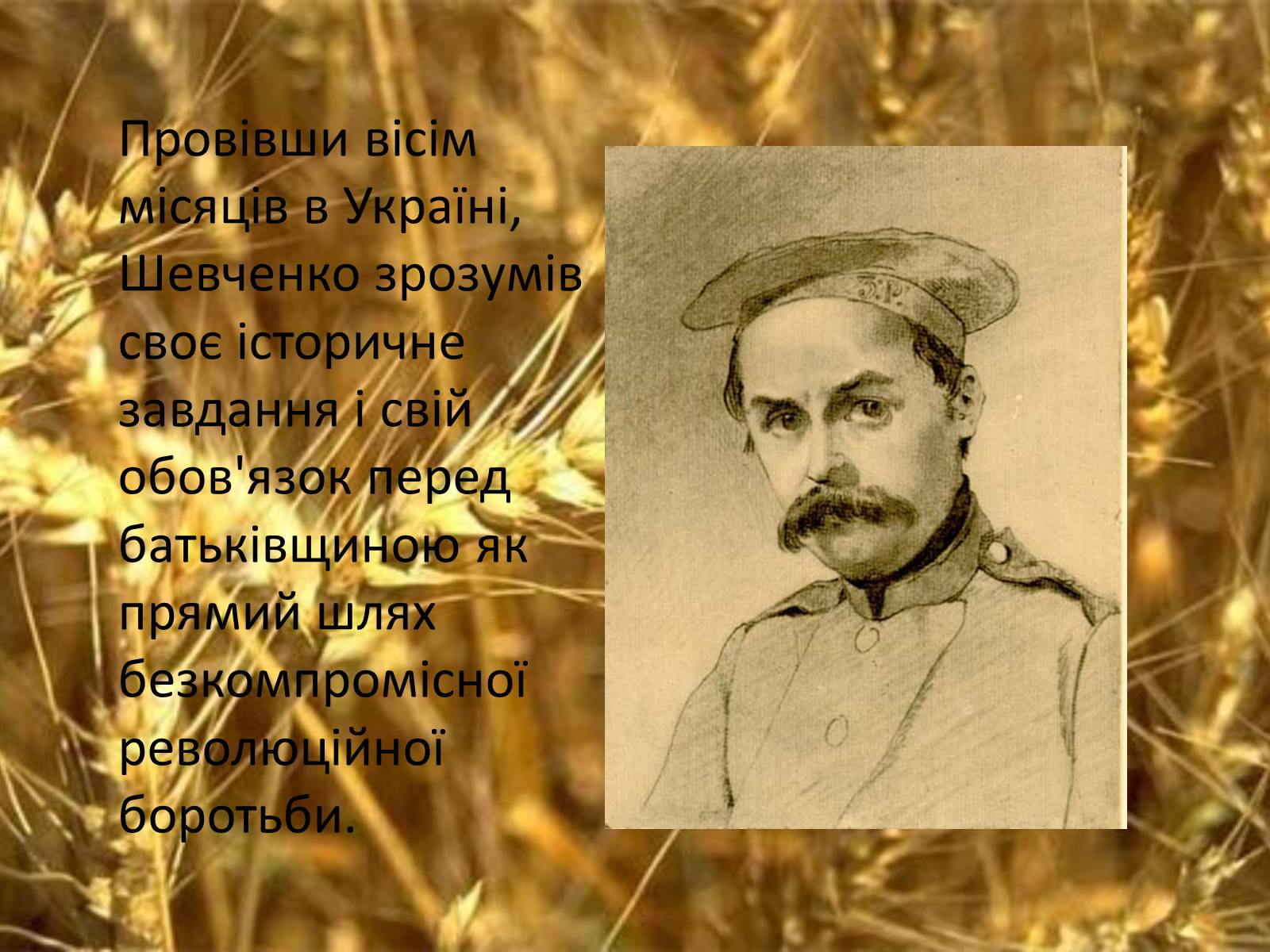 Презентація на тему «Тарас Григорович Шевченко. Період «трьох літ»» - Слайд #8