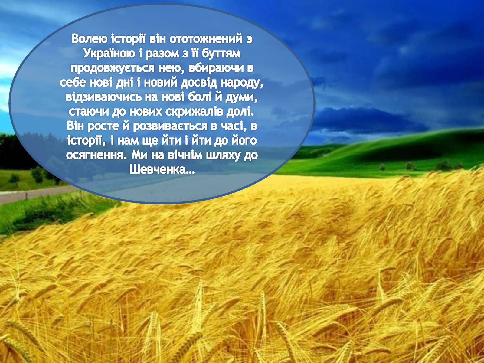 Презентація на тему «Україна та українці у творчості шевченка» - Слайд #17