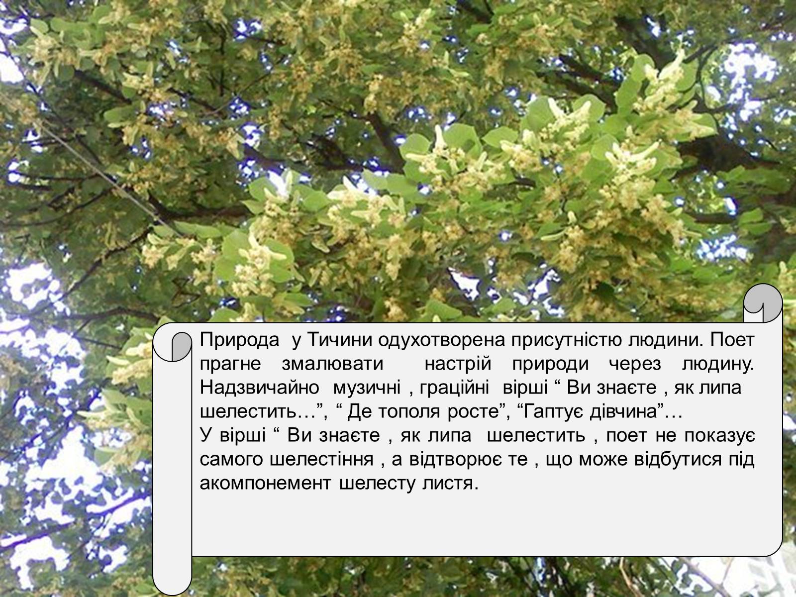 Презентація на тему «Сонячні кларнети» - Слайд #6