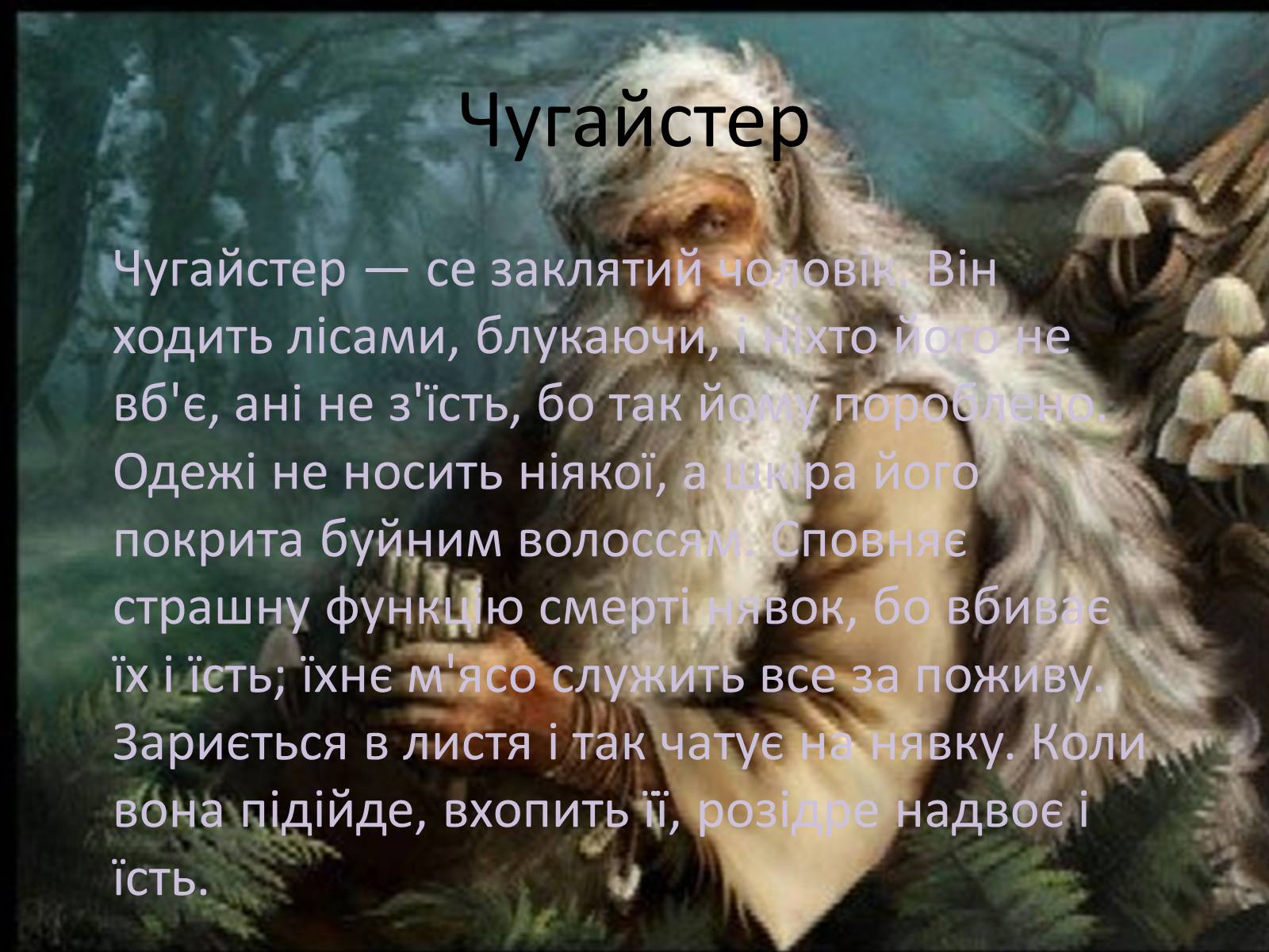 Презентація на тему «Естетичні смаки та особливості карпатських українців (за «Тінями забутих предків»)» - Слайд #12