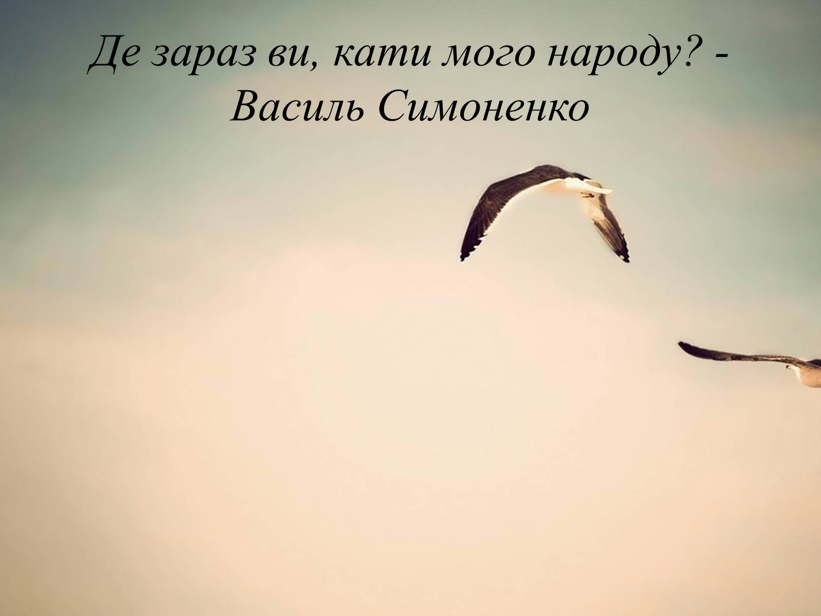 Презентація на тему «Василь Андрійович Симоненко» (варіант 2) - Слайд #14