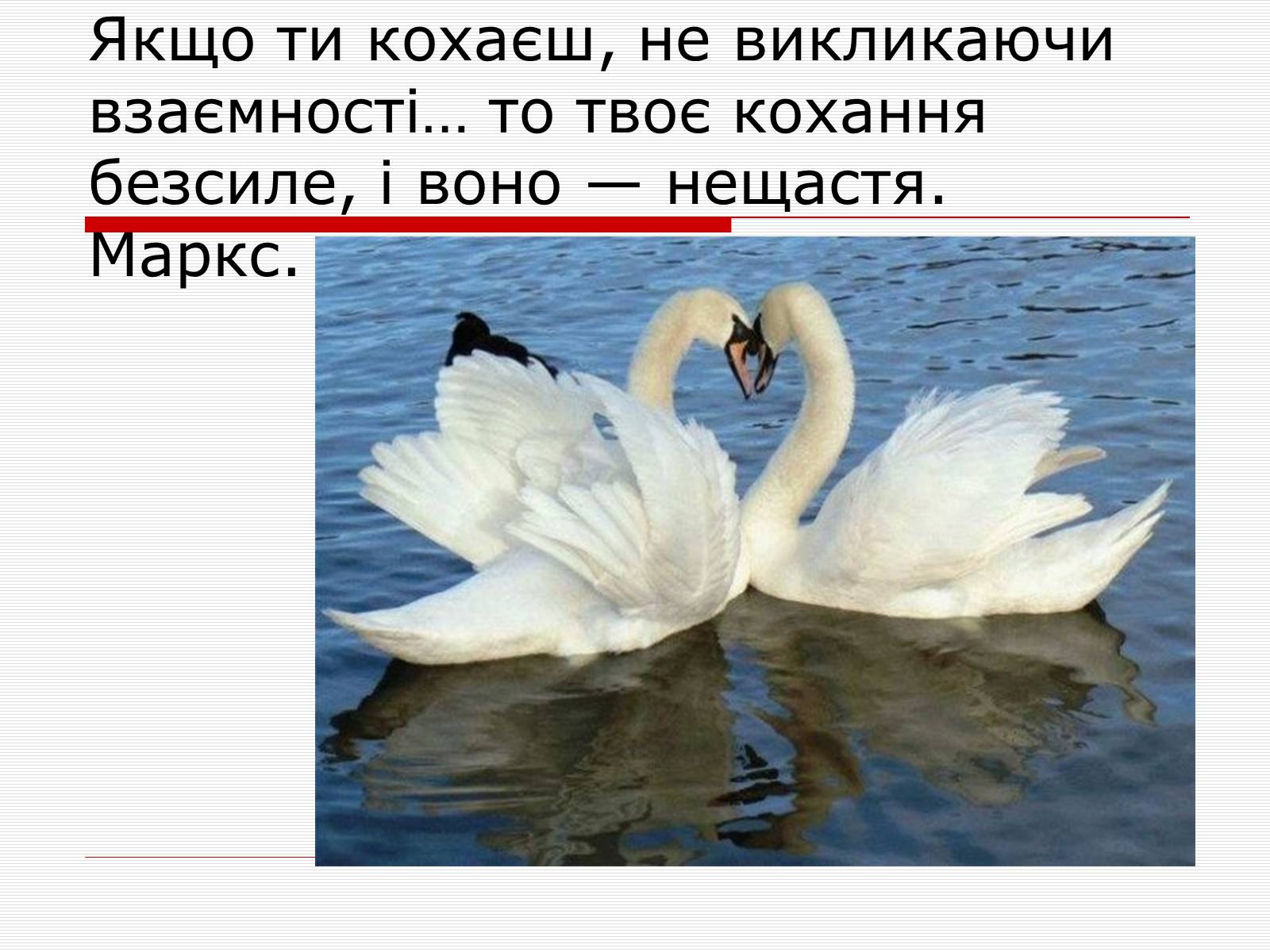 Презентація на тему «Крилаті вислови до новели Г.Тютюнника “Три зозулі з поклоном”» - Слайд #5