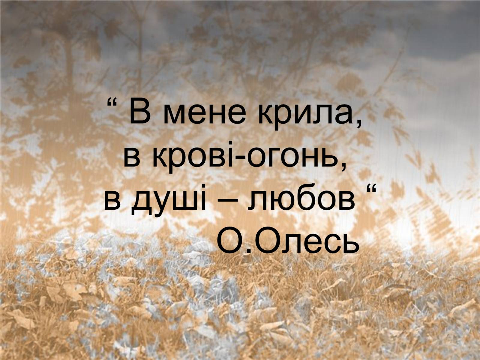 Презентація на тему «О.Олесь» - Слайд #1