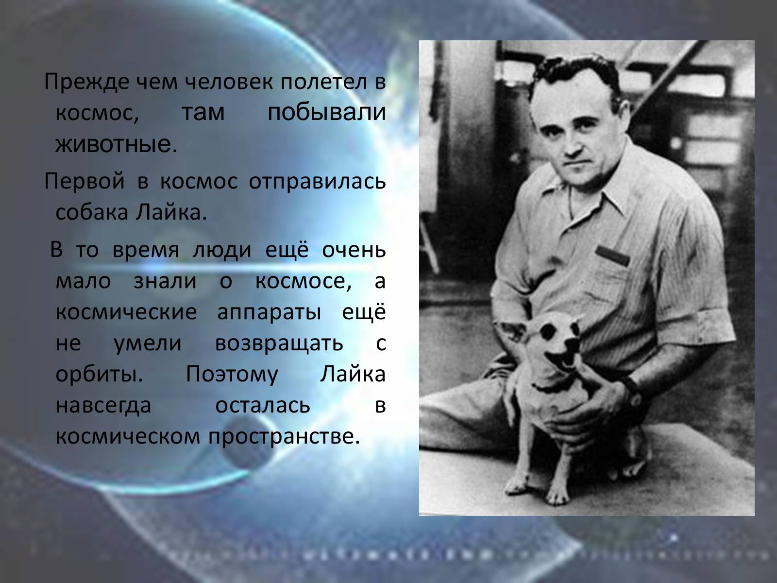 Какой человек впервые побывал в космосе. Человек полетел в космос. Животные побывавшие в космосе. Животные которые полетели в космос. Кто первый полетел в космос из животных.