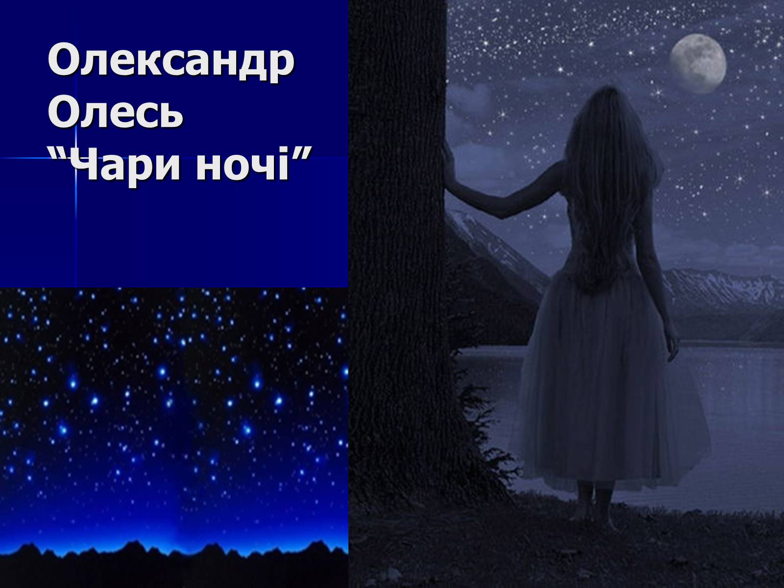 Презентація на тему «Флеш-карта з української літератури» - Слайд #5