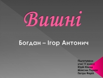 Презентація на тему «Вишні»