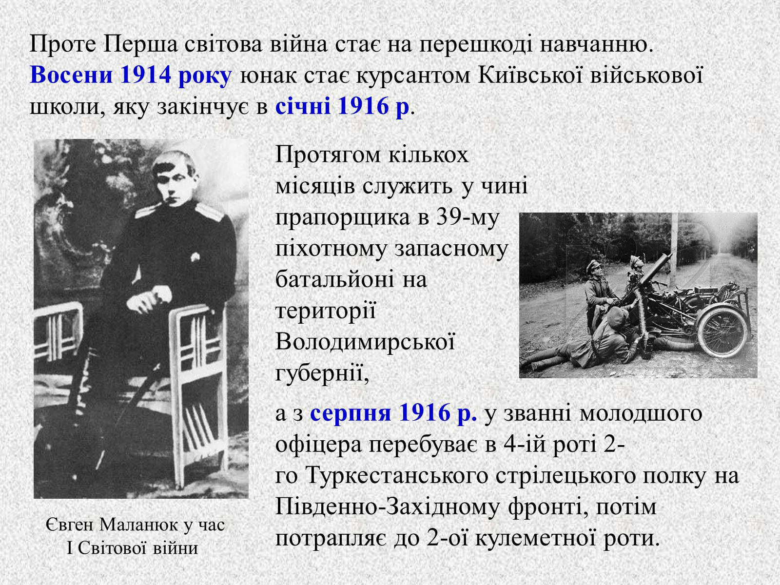 Презентація на тему «Перша книжка поезій Павла Тичини» (варіант 2) - Слайд #3