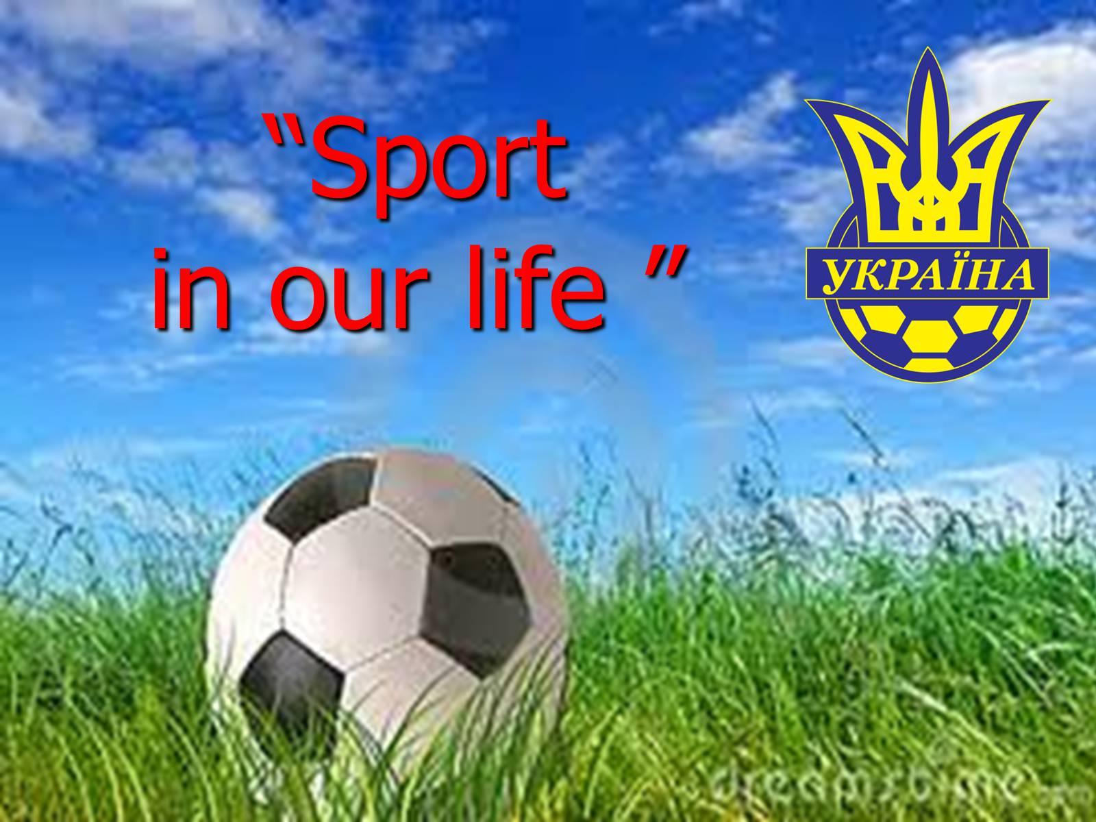 Презентація на тему «Sport in our life» (варіант 5) - Слайд #1
