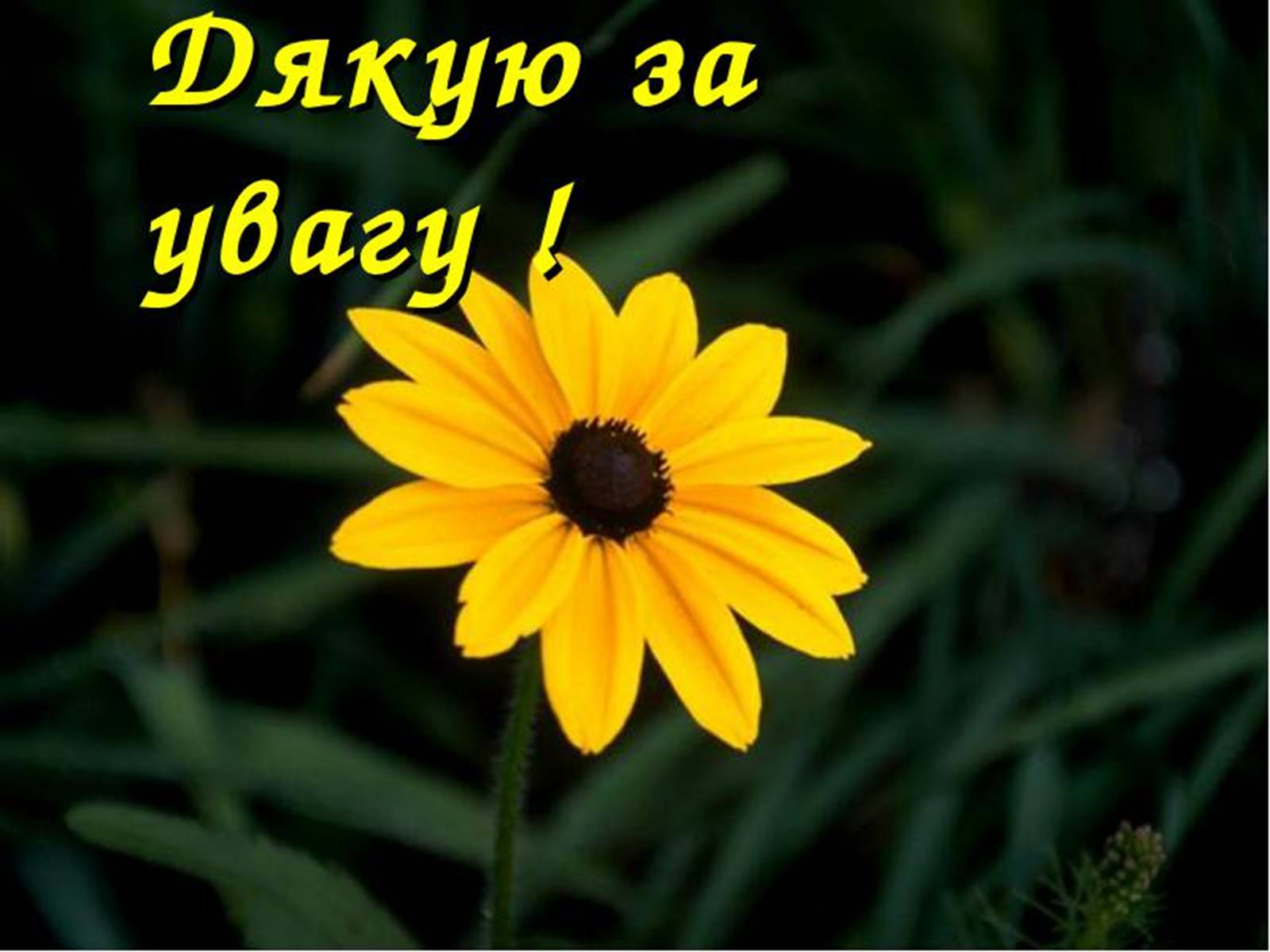 Презентація на тему «Підмогильний Валер&#8217;ян Петрович» (варіант 2) - Слайд #15