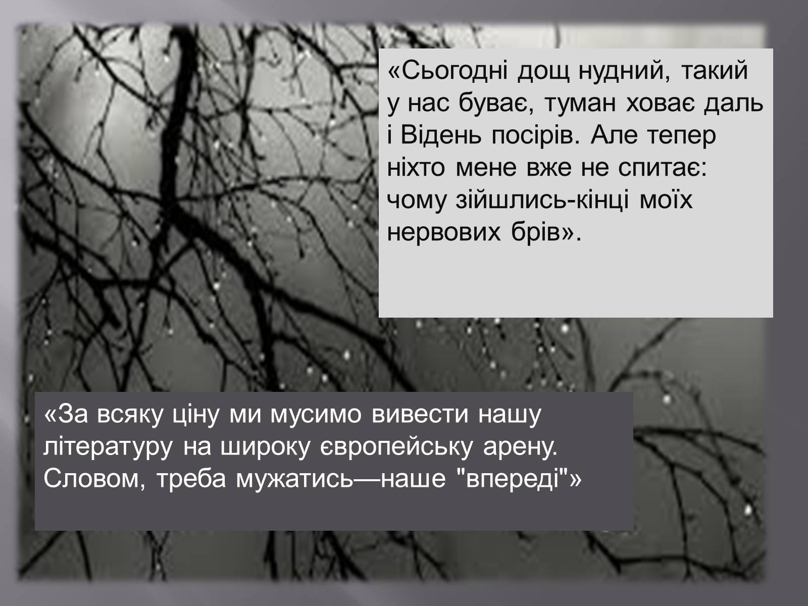 Презентація на тему «Хвильовий» (варіант 1) - Слайд #9