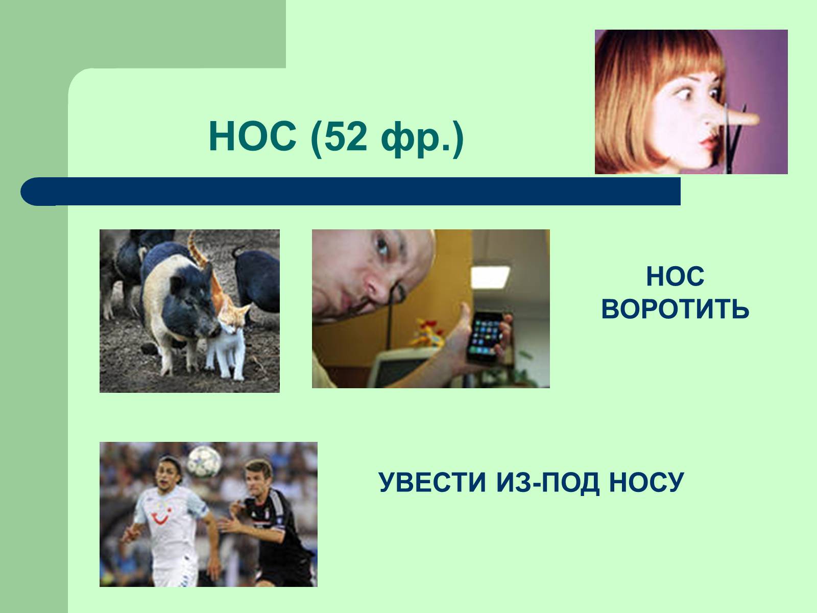 Презентація на тему «Фразеологізми» (варіант 3) - Слайд #11