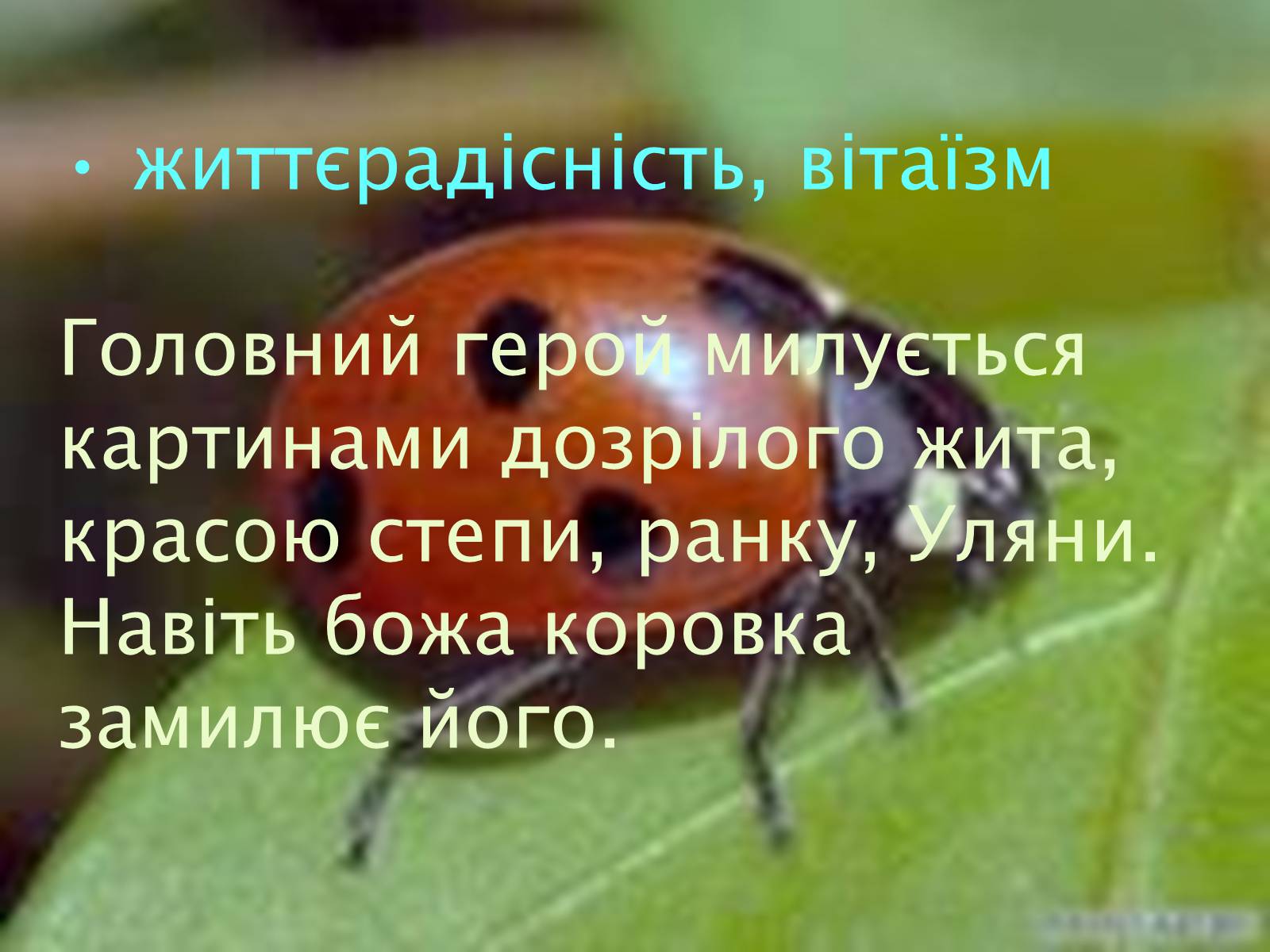 Презентація на тему «Риси імпресіонізму у новелі Г. Косинки «В житах»» - Слайд #9