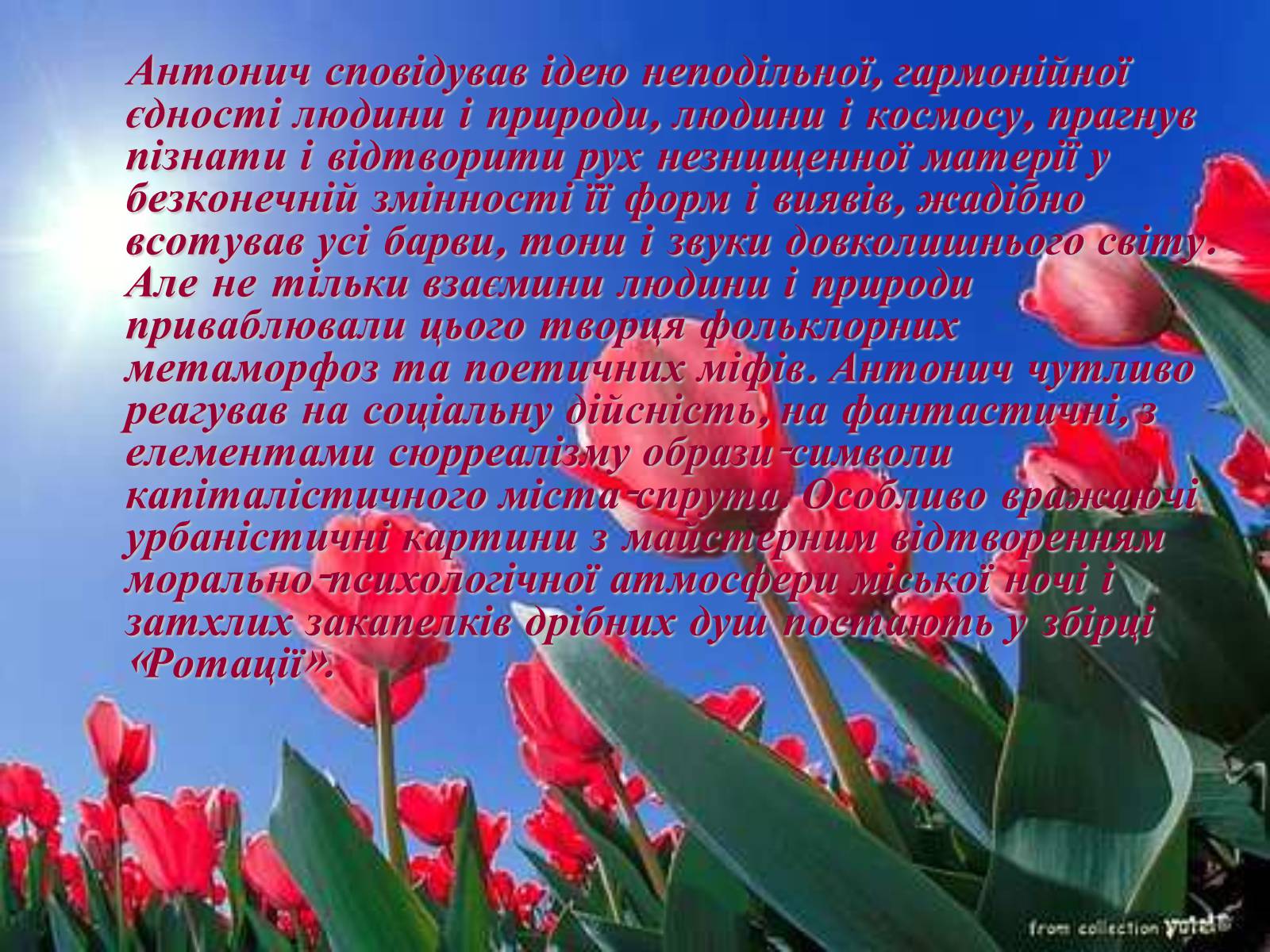 Презентація на тему «Життєвий та творчий шлях Антонича» (варіант 1) - Слайд #5