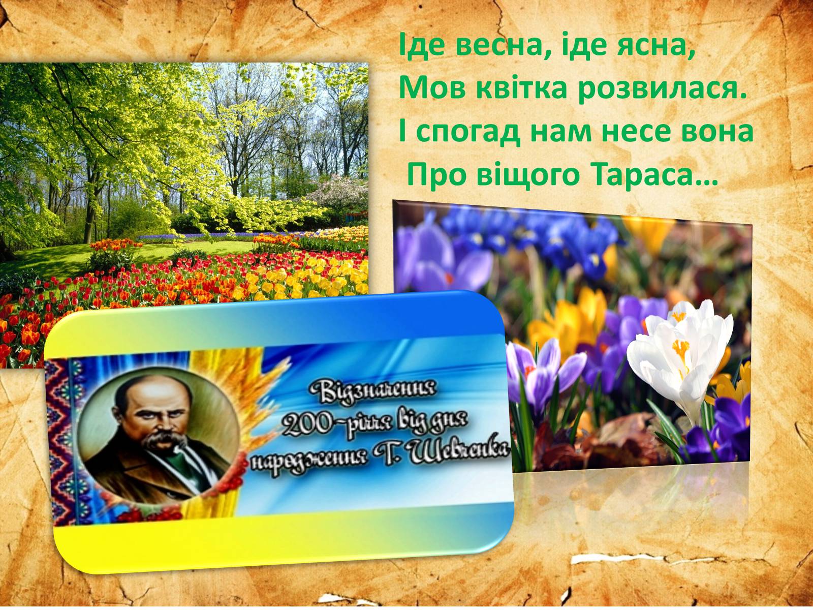 Презентація на тему «Тарас Григорович Шевченко» (варіант 54) - Слайд #1