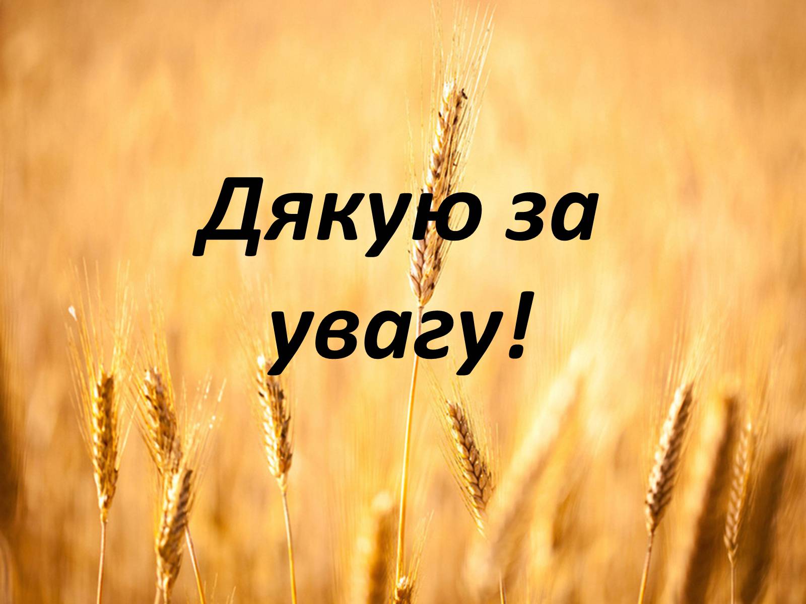 Презентація на тему «Ранні роки Валеряна Підмогильного» - Слайд #8