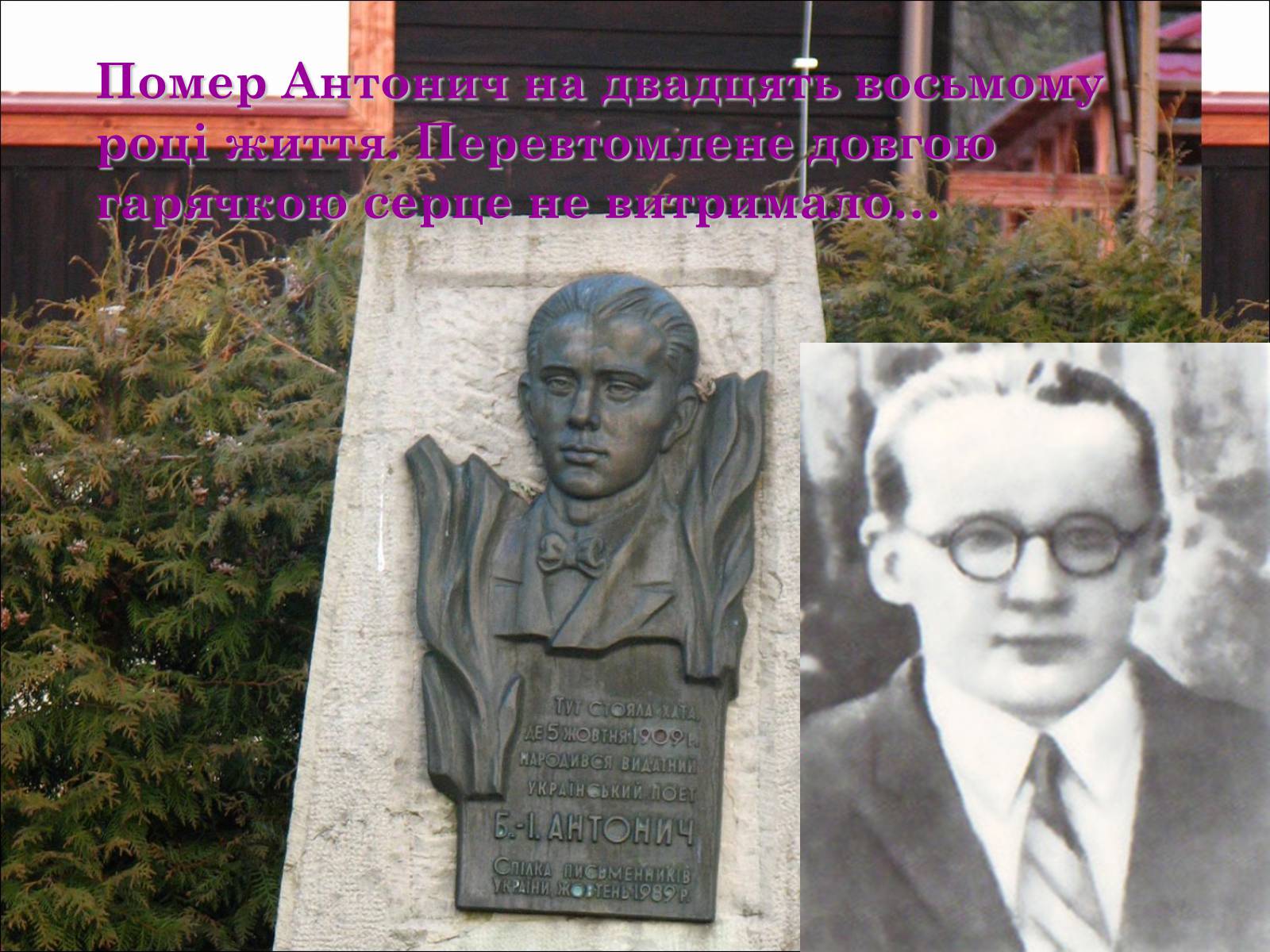 Презентація на тему «Життєвий та творчий шлях Антонича» (варіант 2) - Слайд #8