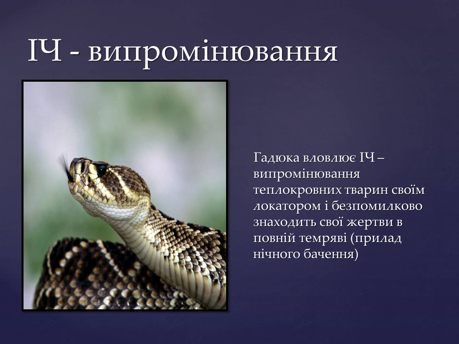 Презентація на тему «Електромагнітні хвилі в природі і техніці» (варіант 4) - Слайд #11